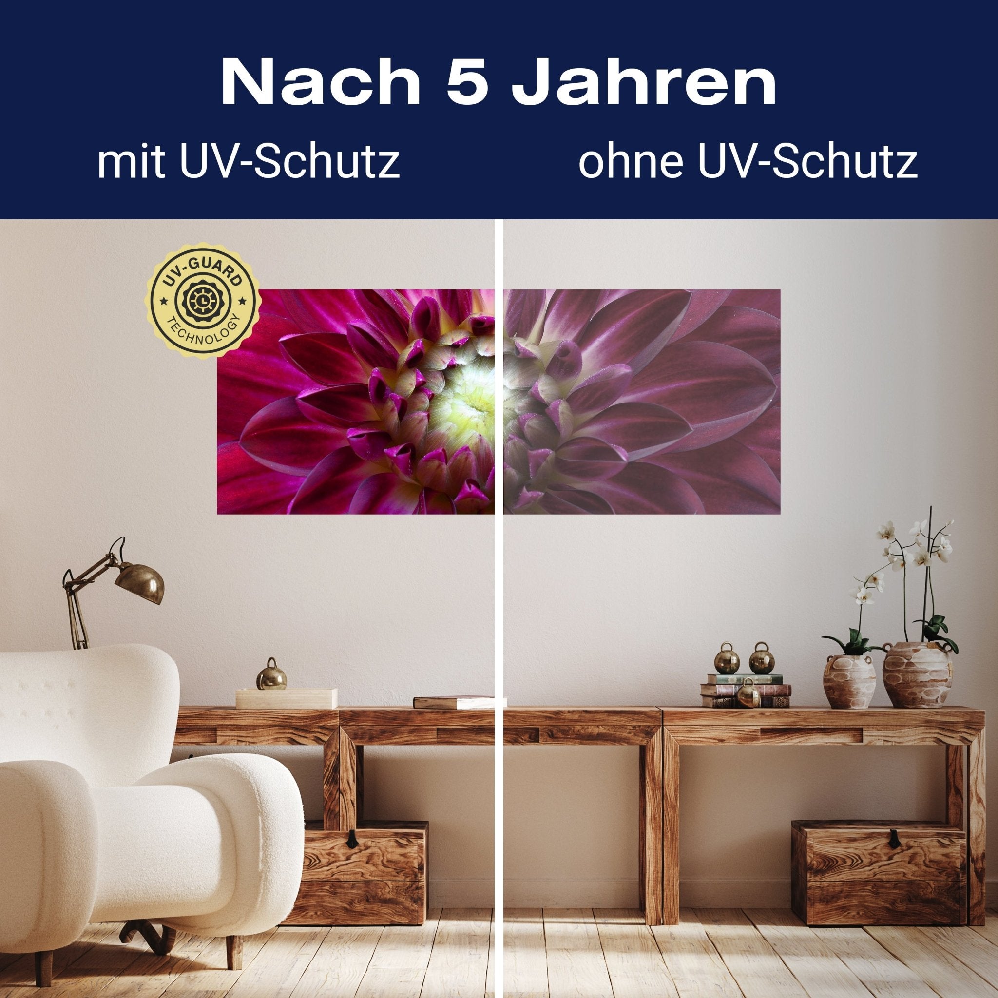 Leinwandbild Blume Blüte Aster pink M1122 kaufen - Bild 9 Leinwandbild Blume Blüte Aster pink M1122 kaufen - Bild 9