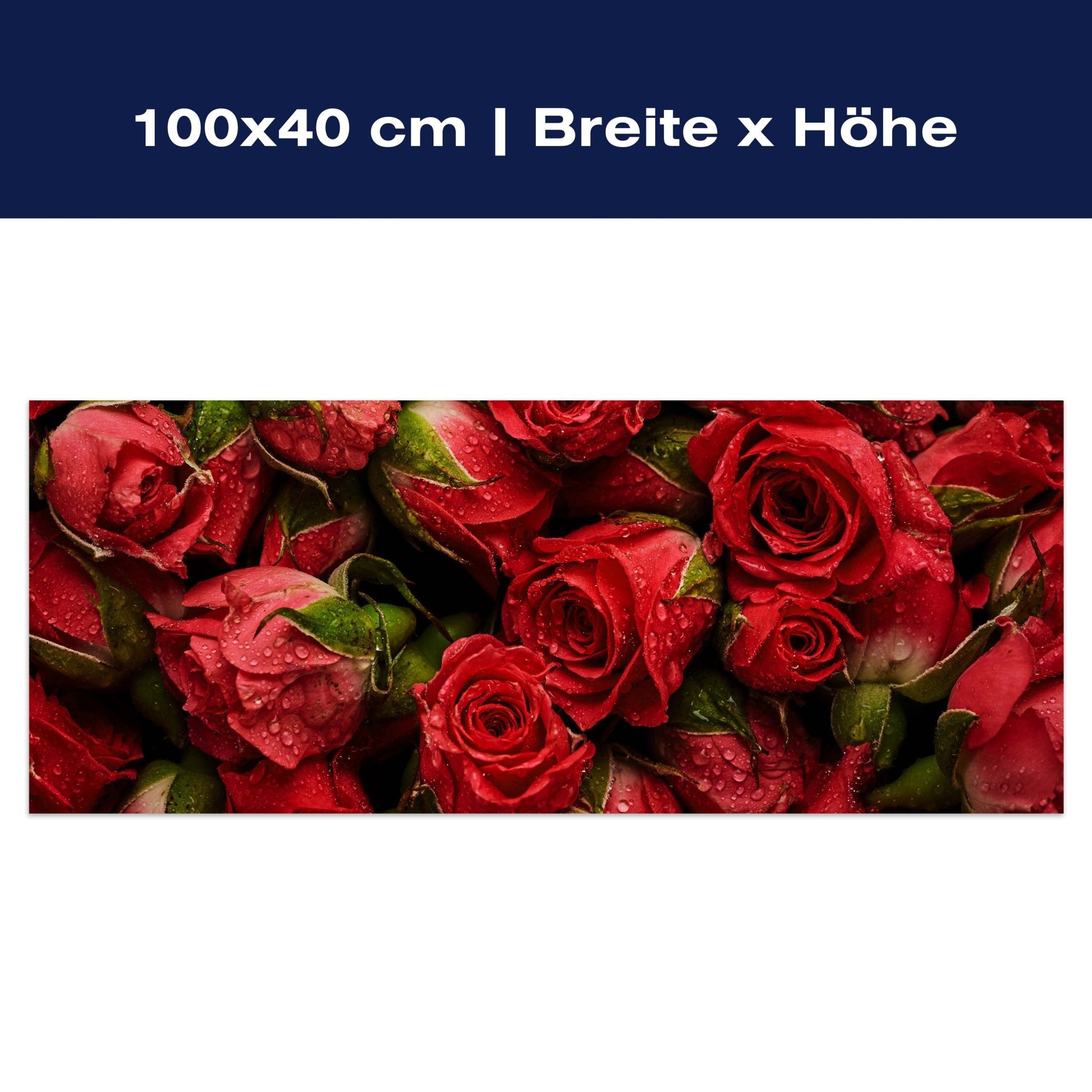 Leinwandbild rote Rosen Blüten M1123 Leinwandbild rote Rosen Blüten M1123