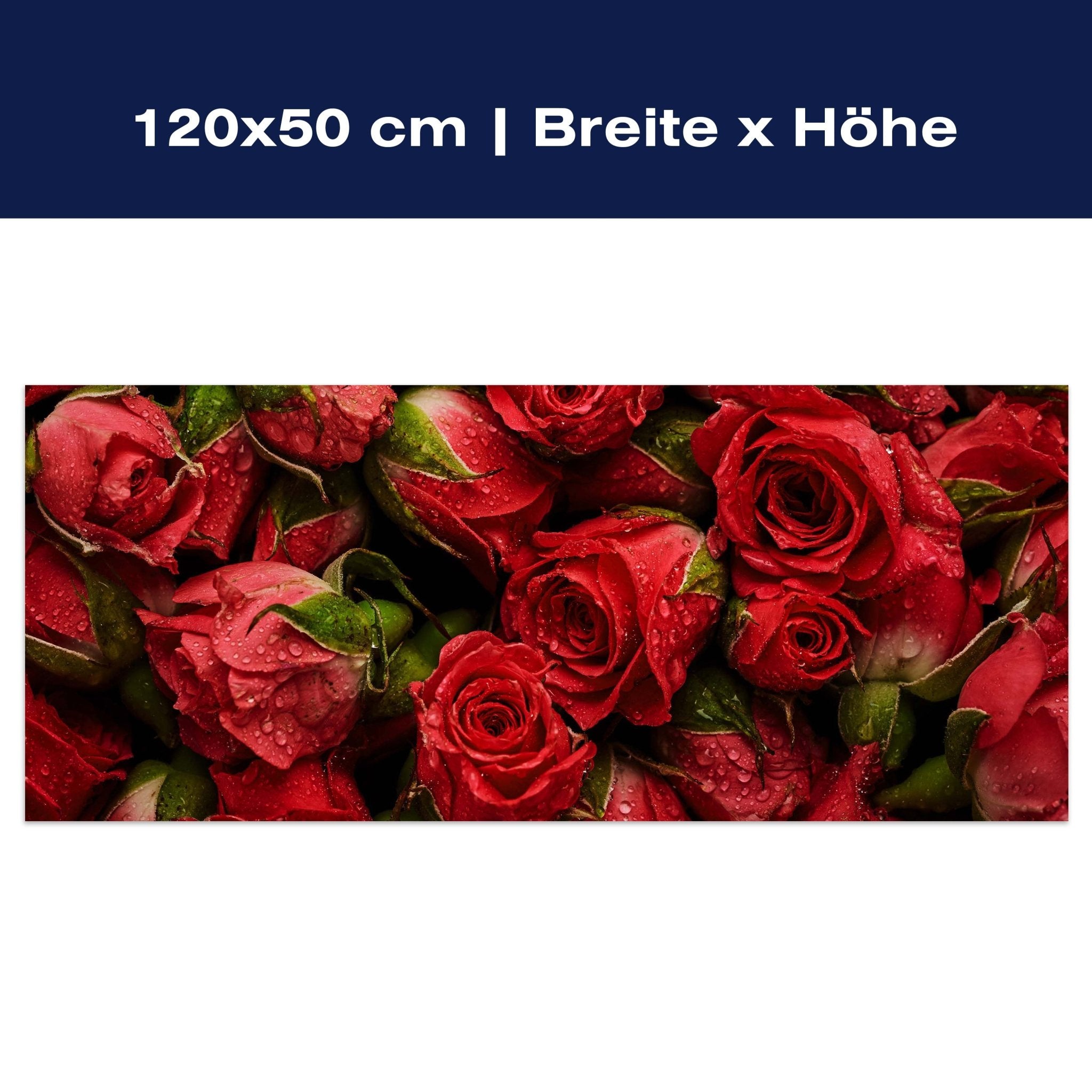 Leinwandbild rote Rosen Blüten M1123 Leinwandbild rote Rosen Blüten M1123