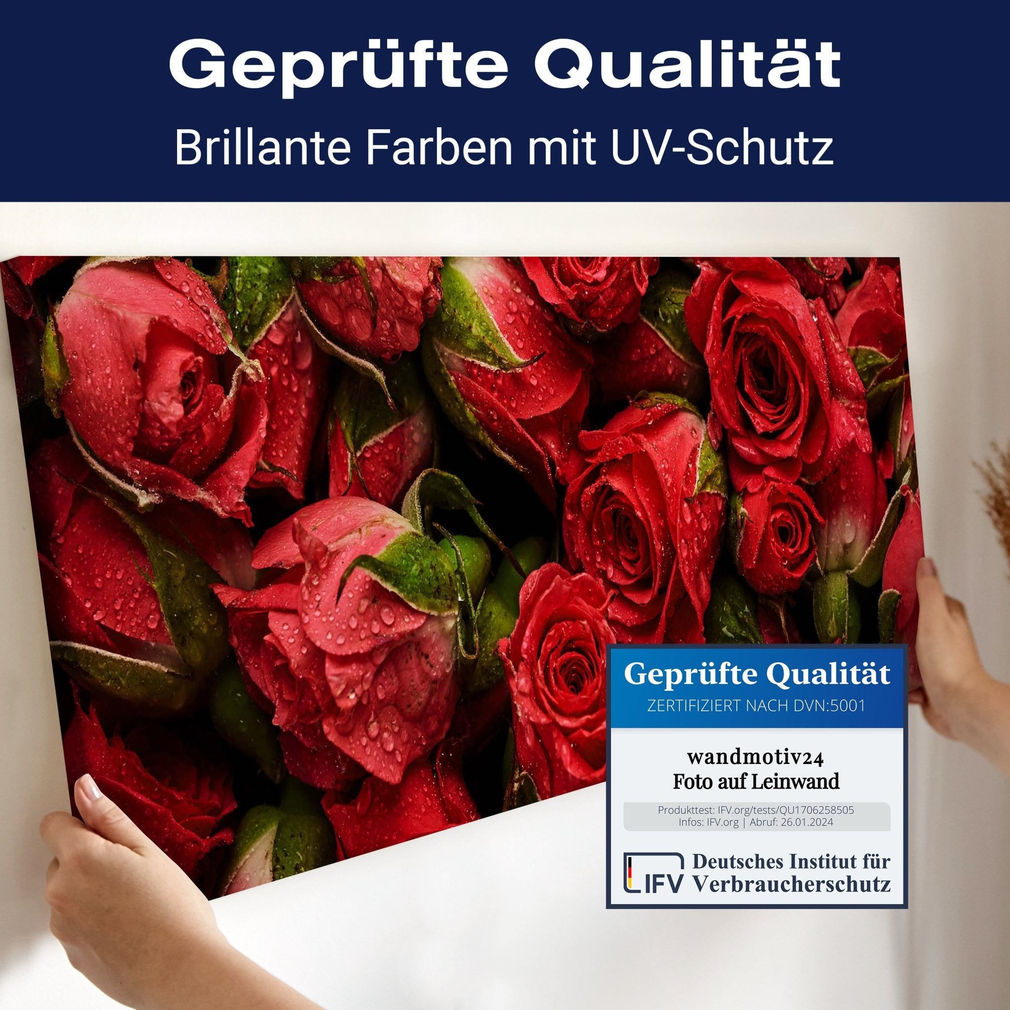 Leinwandbild rote Rosen Blüten M1123 kaufen - Bild 4 Leinwandbild rote Rosen Blüten M1123 kaufen - Bild 4