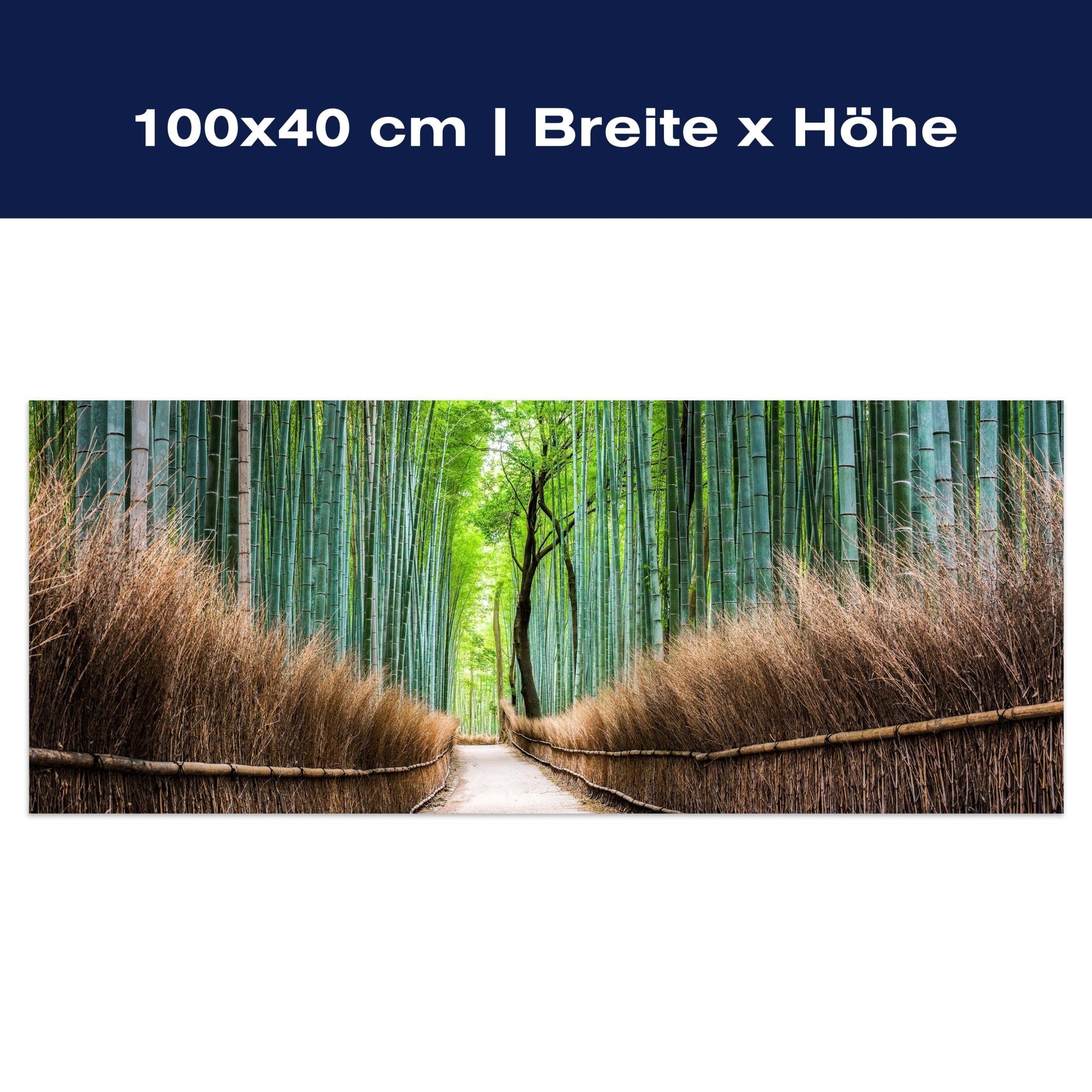 Leinwandbild Bambus Weg Wald Zaun M1126 Leinwandbild Bambus Weg Wald Zaun M1126