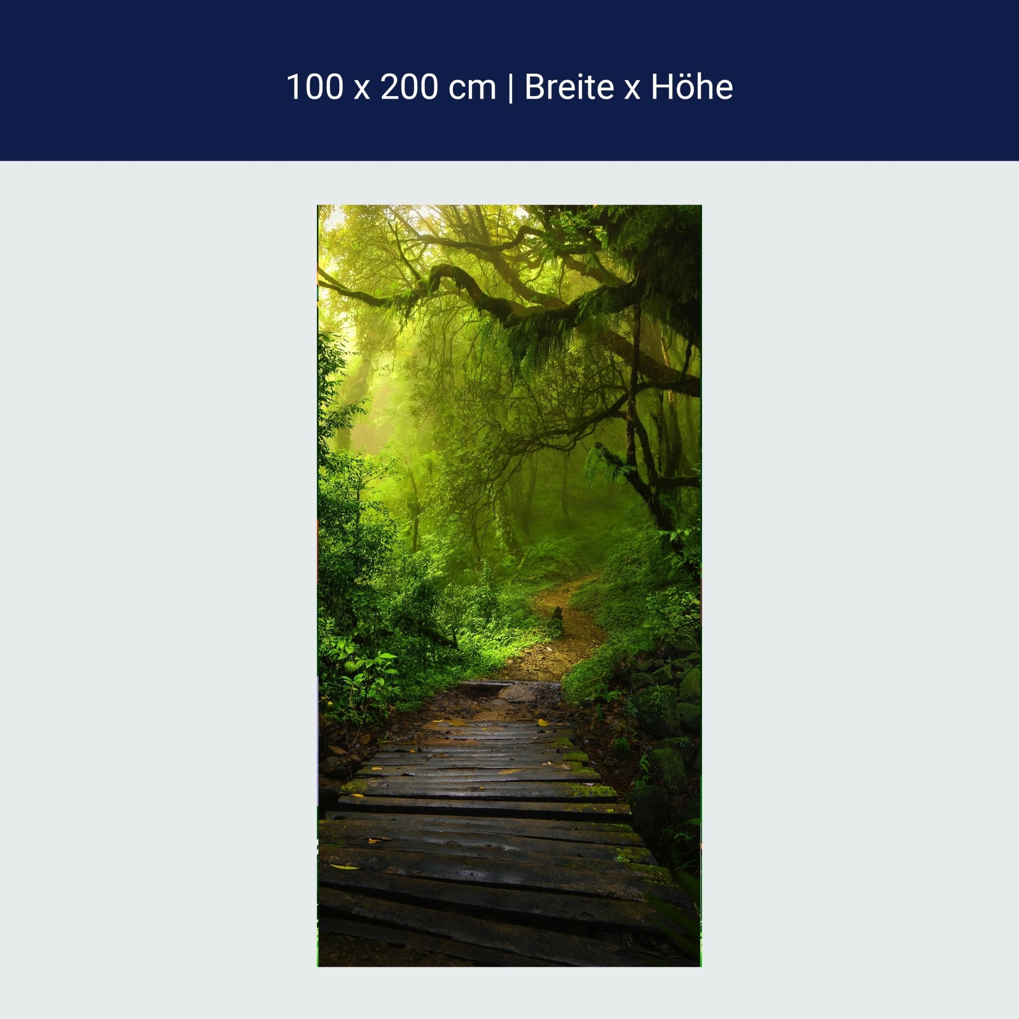Türtapete Holz-weg in mystischem Wald, Urwald M1127 Türtapete Holz-weg in mystischem Wald, Urwald M1127