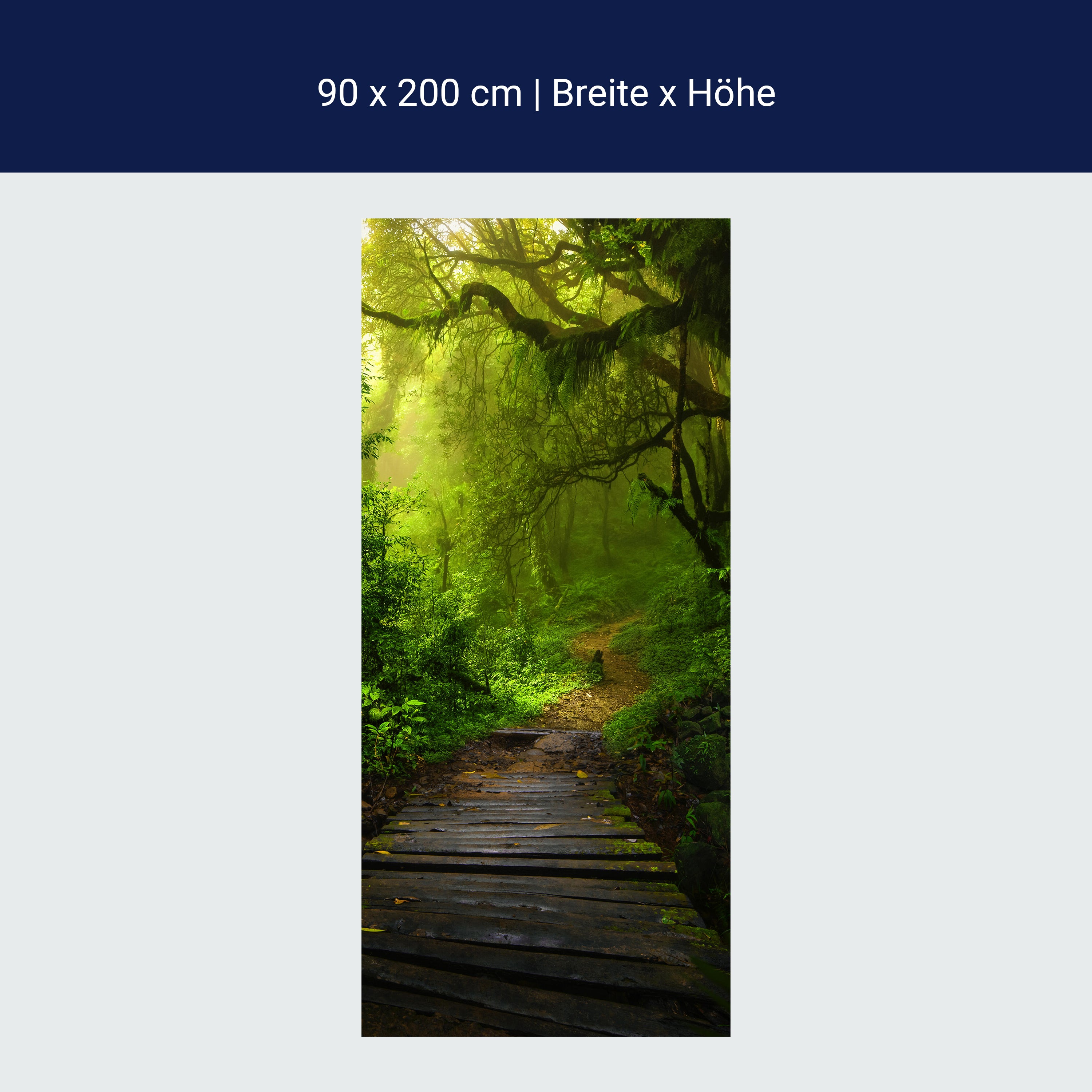 Türtapete Holz-weg in mystischem Wald, Urwald M1127 Türtapete Holz-weg in mystischem Wald, Urwald M1127