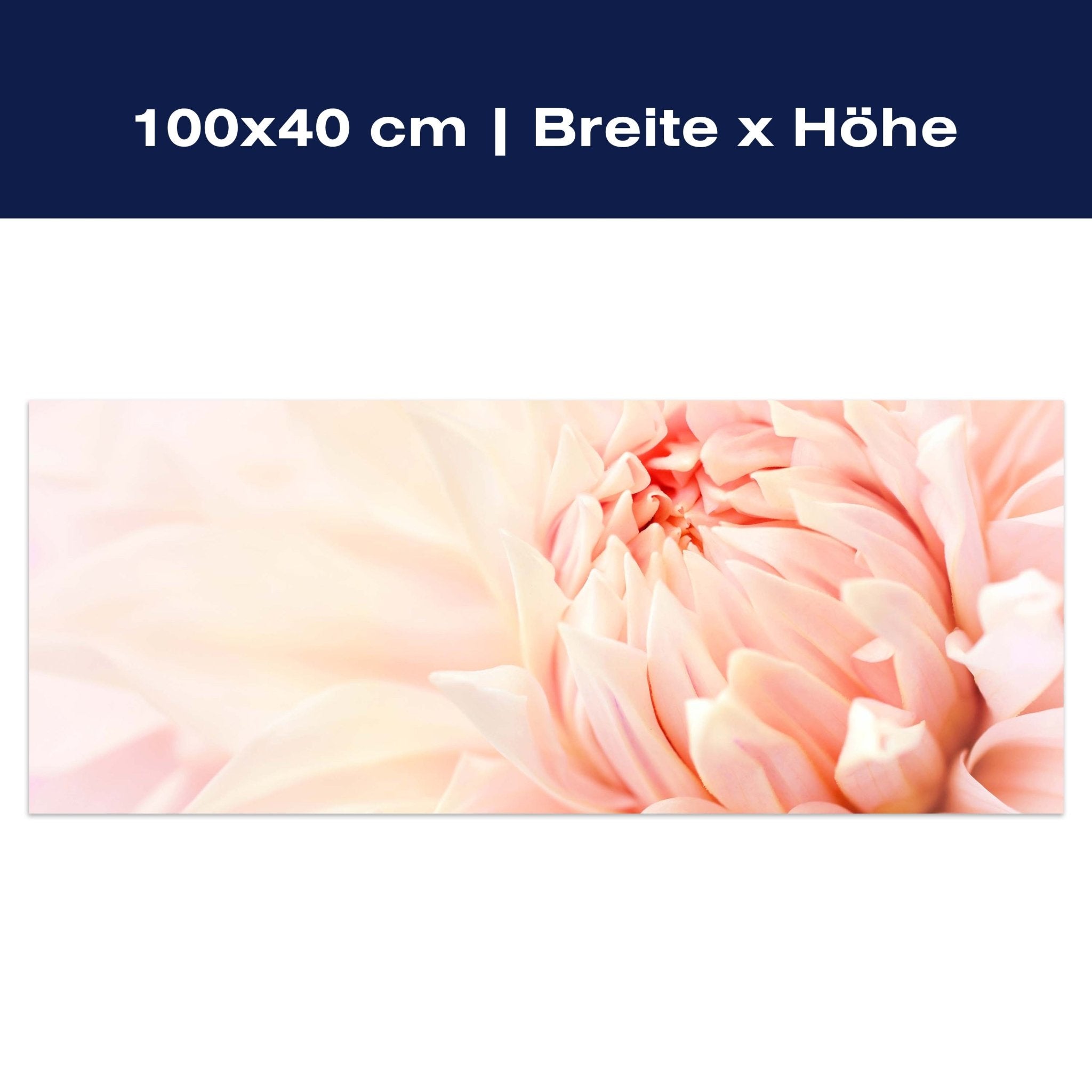 Leinwandbild Blume Blüte Dahlie rosa M1130 Leinwandbild Blume Blüte Dahlie rosa M1130