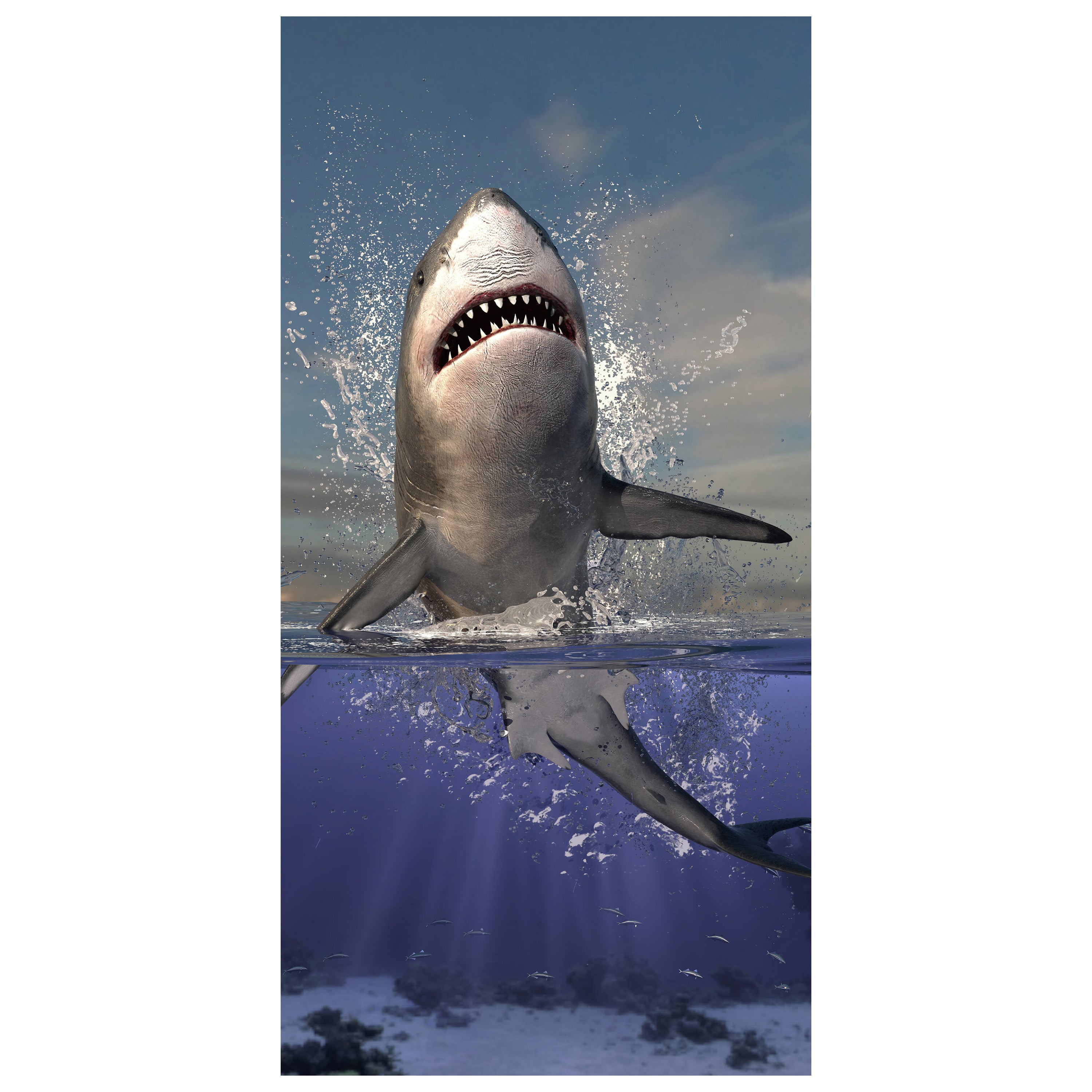 Türtapete springender Hai, Unter-wasser, Raub-tier M1130 - Bild 2 Türtapete springender Hai, Unter-wasser, Raub-tier M1130 - Bild 2