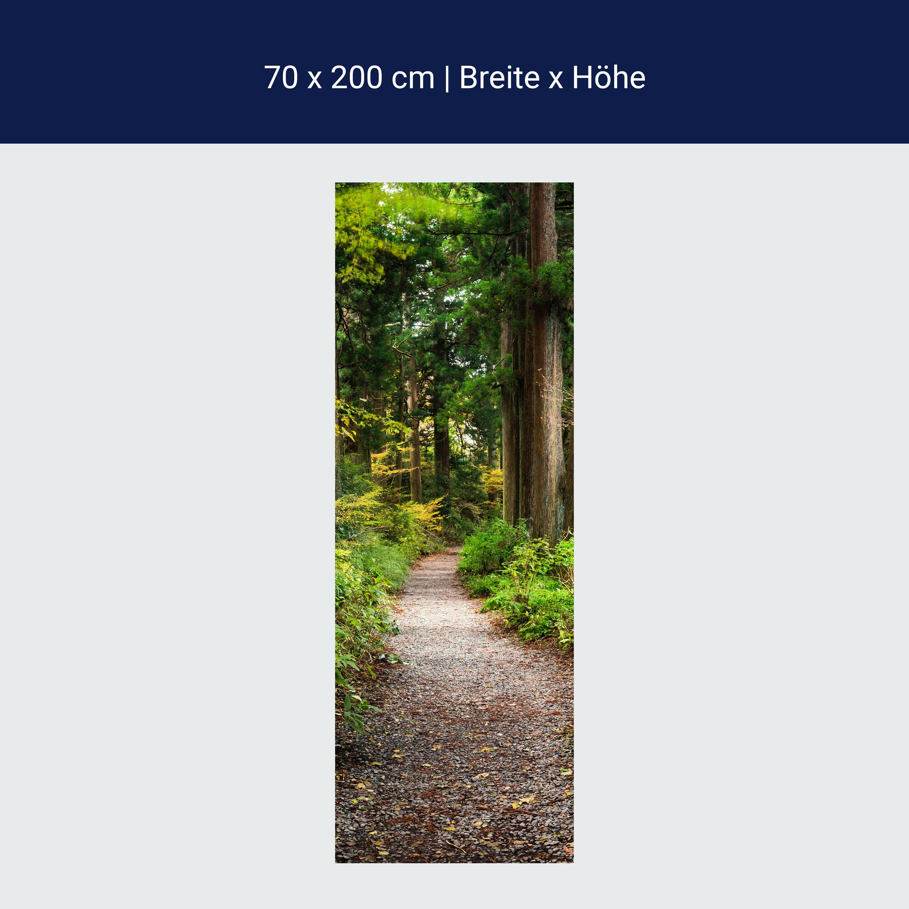 Türtapete Wander-weg in altem Wald, Bäume, Natur M1131 Türtapete Wander-weg in altem Wald, Bäume, Natur M1131