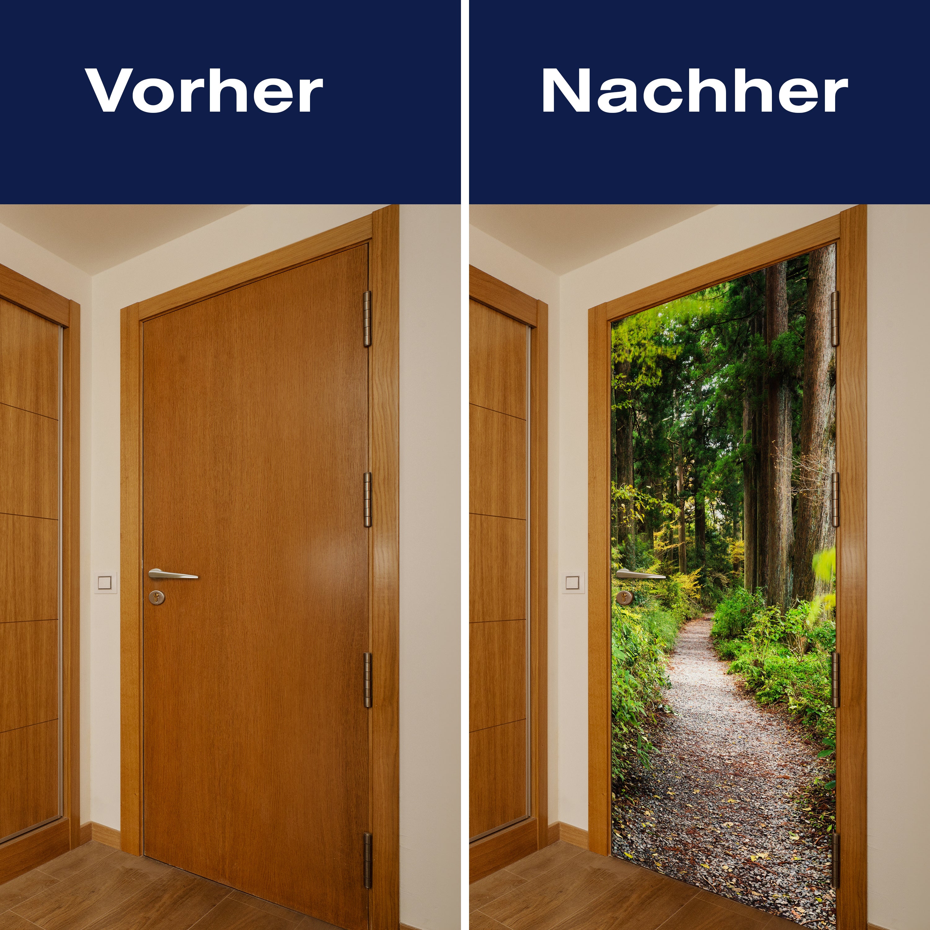 Türtapete Wander-weg in altem Wald, Bäume, Natur M1131 - Bild 10 Türtapete Wander-weg in altem Wald, Bäume, Natur M1131 - Bild 10