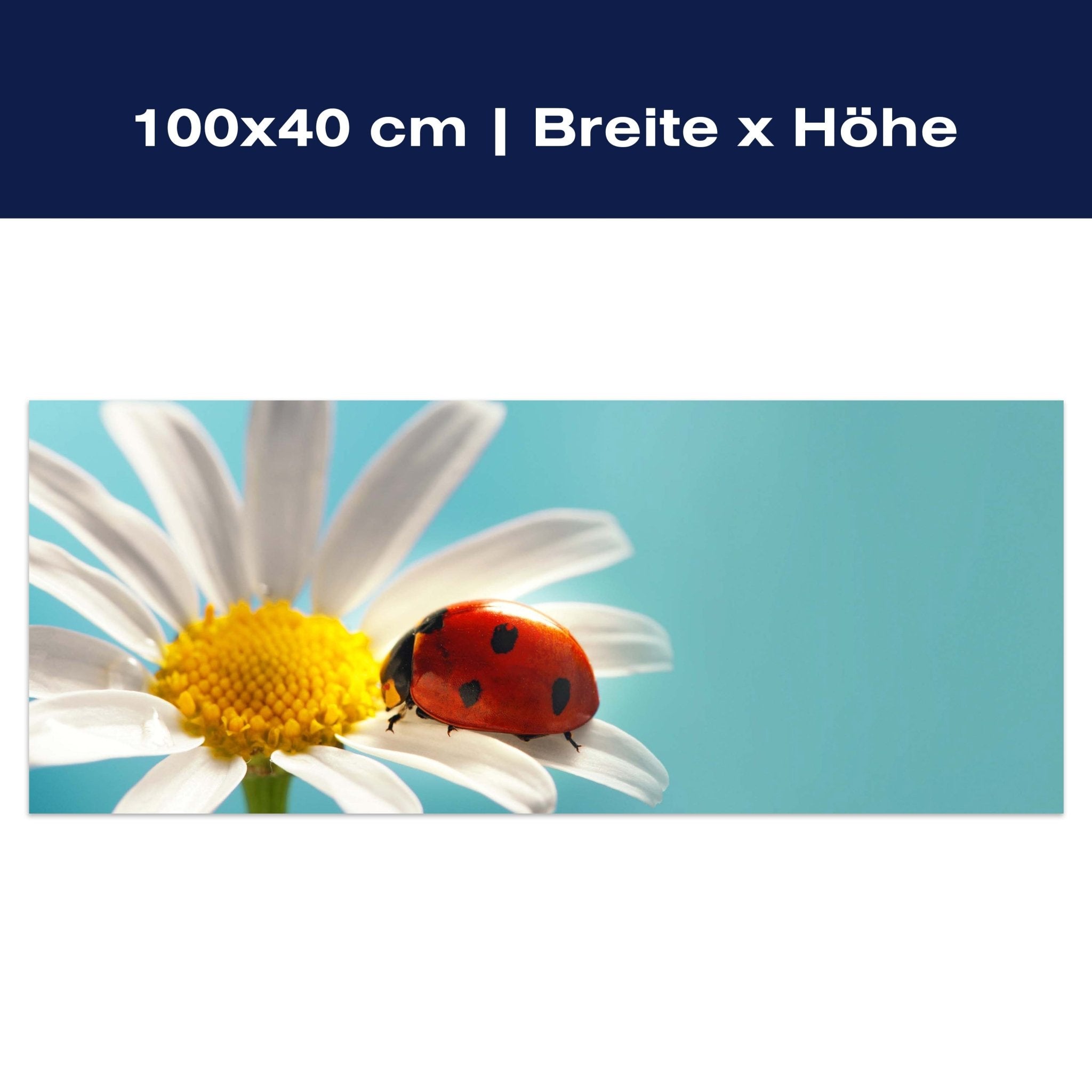 Leinwandbild Gänseblümchen Blüte Marienkäfer M1132 Leinwandbild Gänseblümchen Blüte Marienkäfer M1132