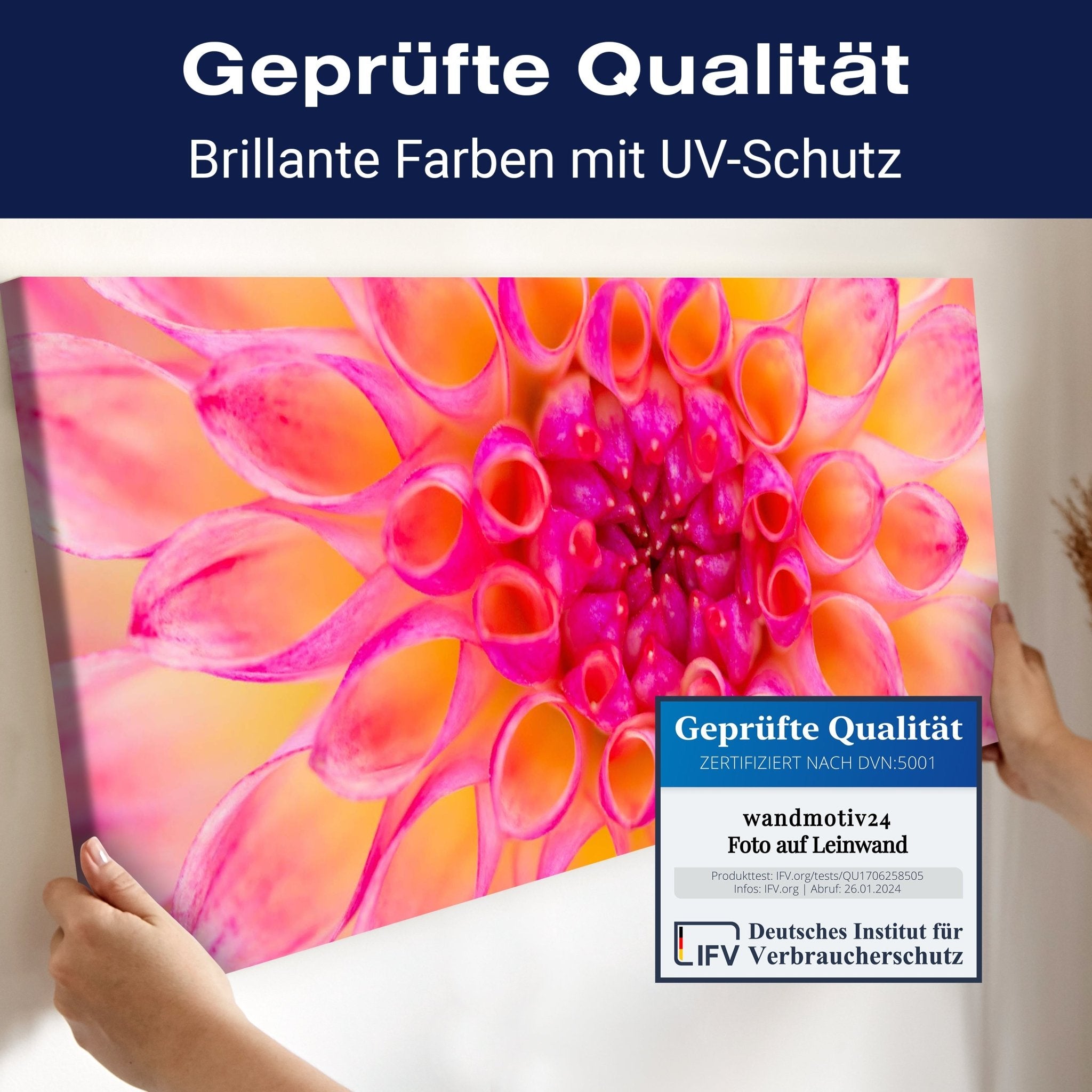 Leinwandbild bunte Dahlie Blüte Blume rosa gelb M1134 kaufen - Bild 4 Leinwandbild bunte Dahlie Blüte Blume rosa gelb M1134 kaufen - Bild 4