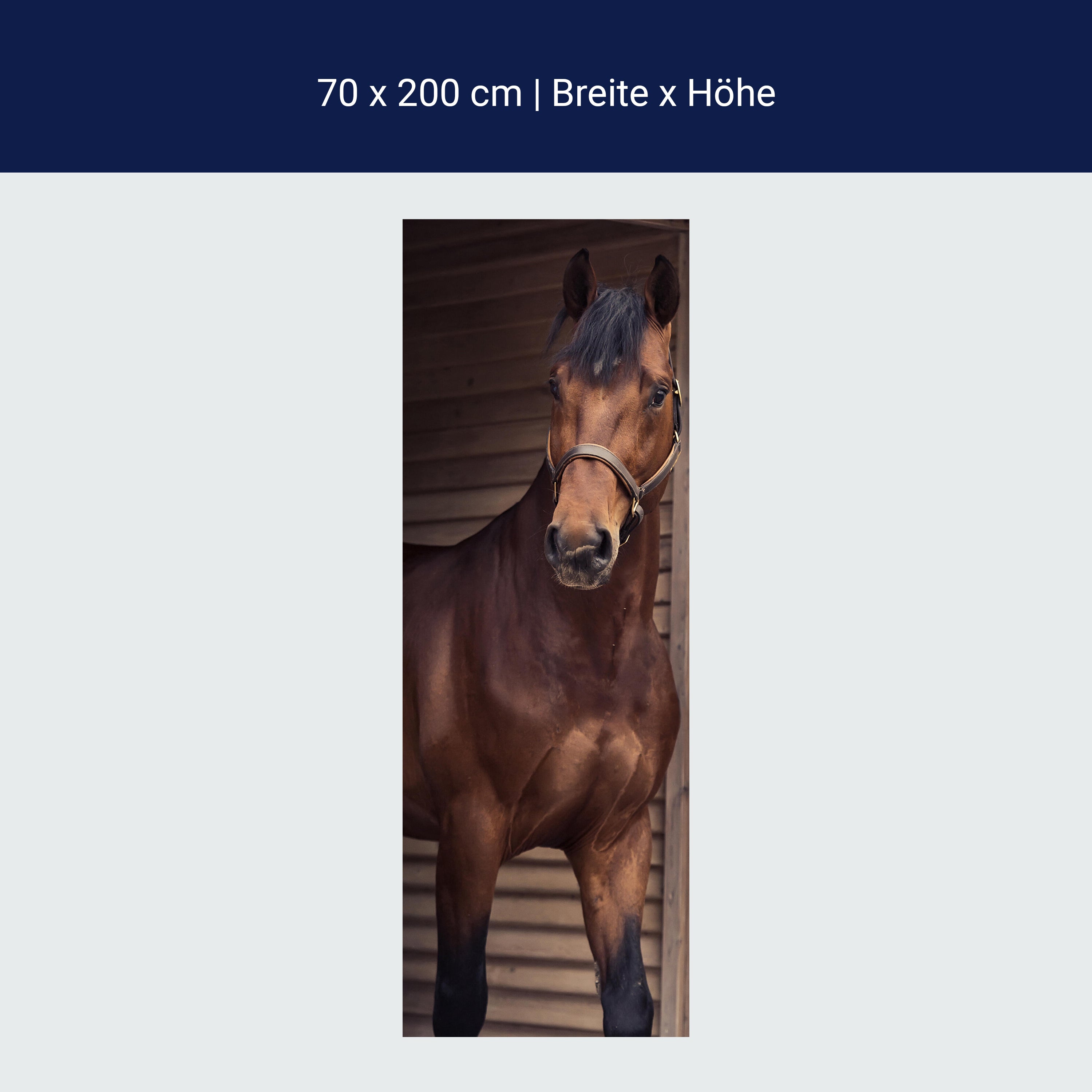 Türtapete Pferd an Stall-tür, Tiere, Reiten, Box M1137 Türtapete Pferd an Stall-tür, Tiere, Reiten, Box M1137