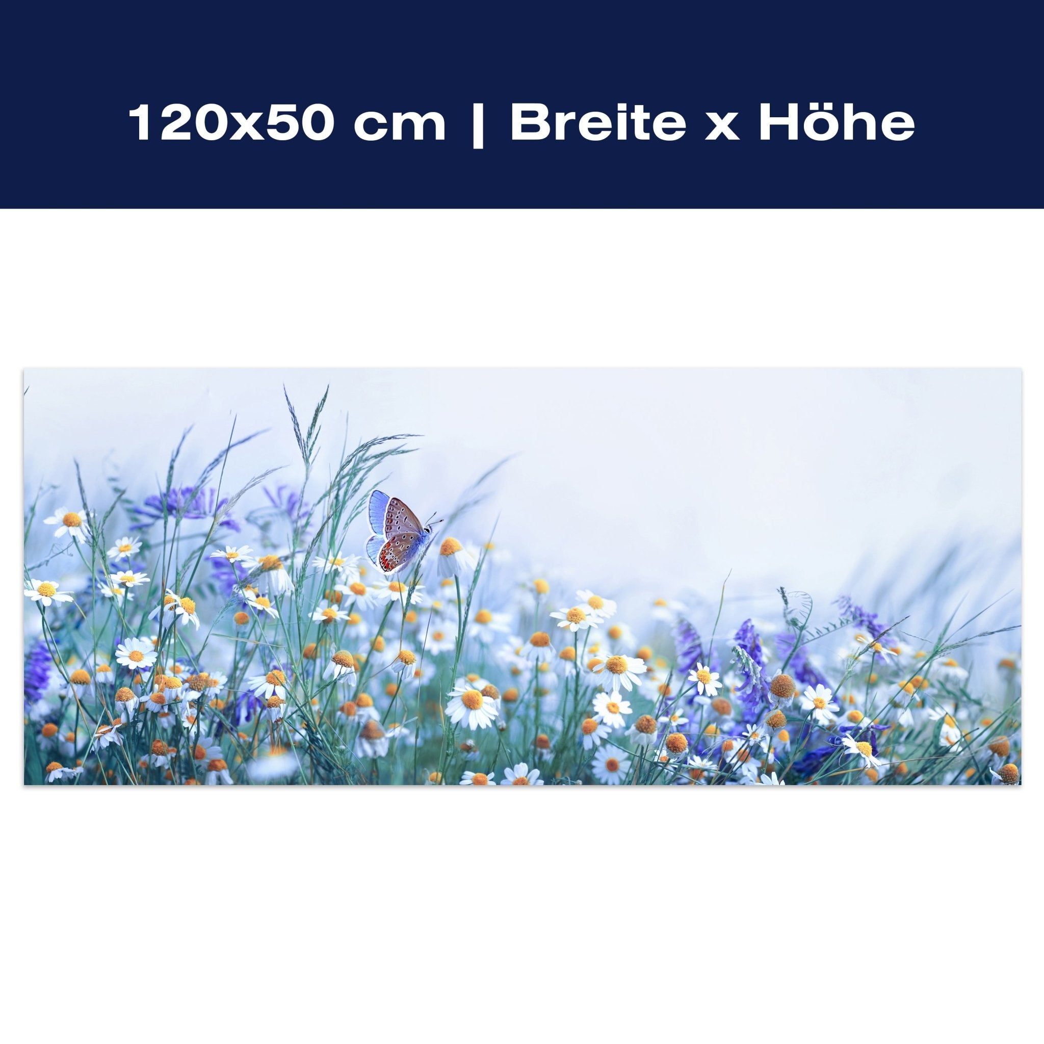 Leinwandbild Blumen, Schmetterling, Natur Landschaft M1149 Leinwandbild Blumen, Schmetterling, Natur Landschaft M1149