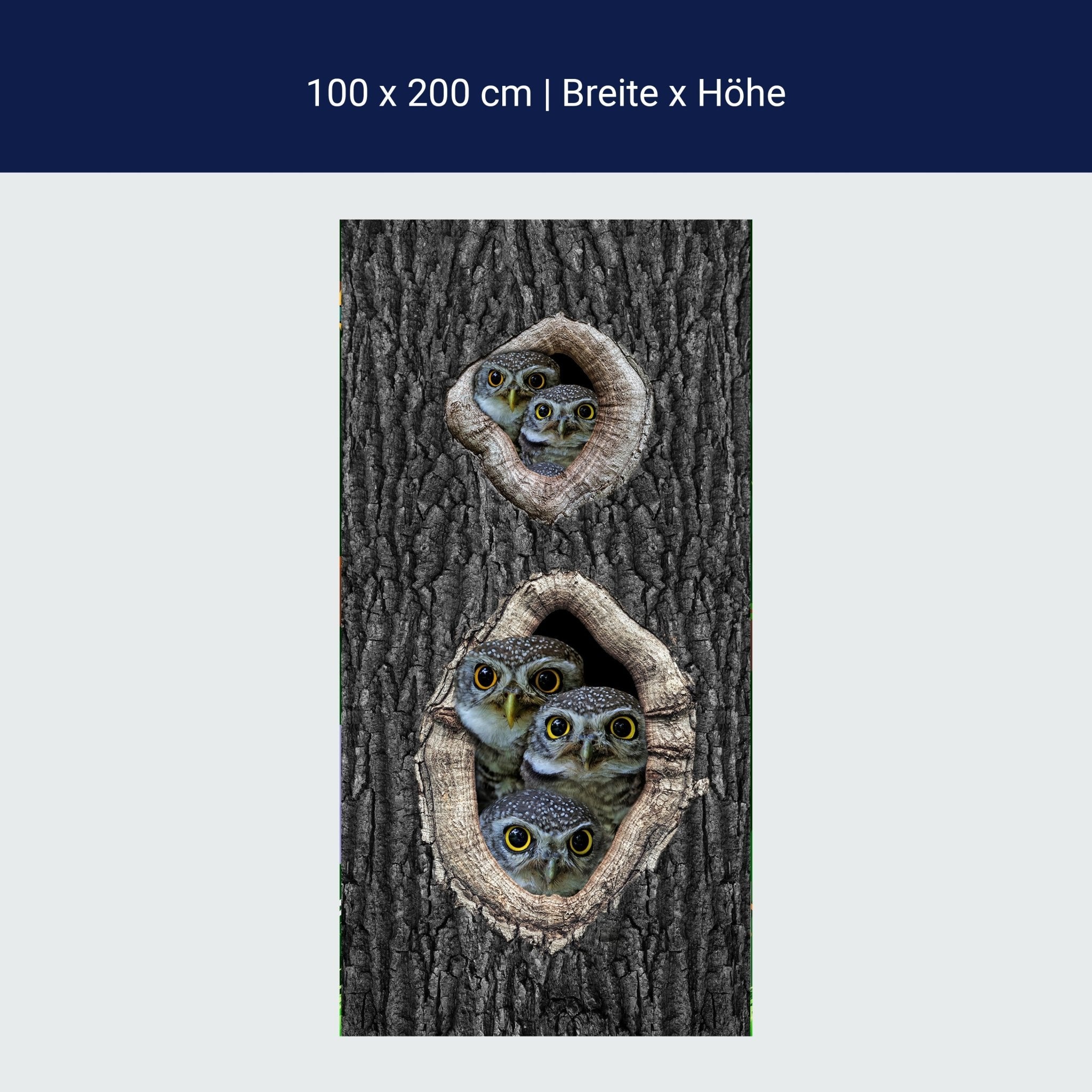 Türtapete Eulen im Baum, Familie, Vögel, Wald M1149 Türtapete Eulen im Baum, Familie, Vögel, Wald M1149