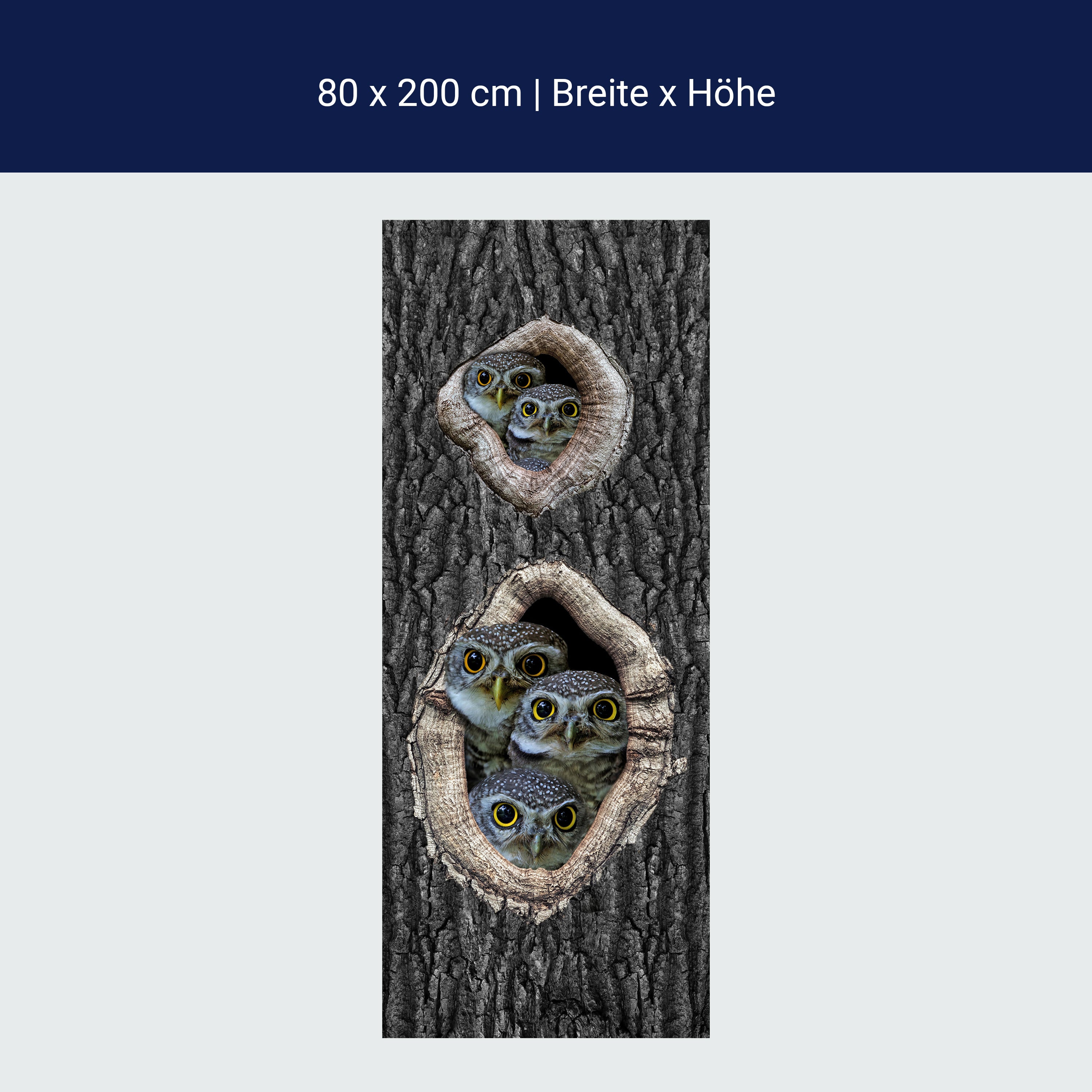 Türtapete Eulen im Baum, Familie, Vögel, Wald M1149 Türtapete Eulen im Baum, Familie, Vögel, Wald M1149