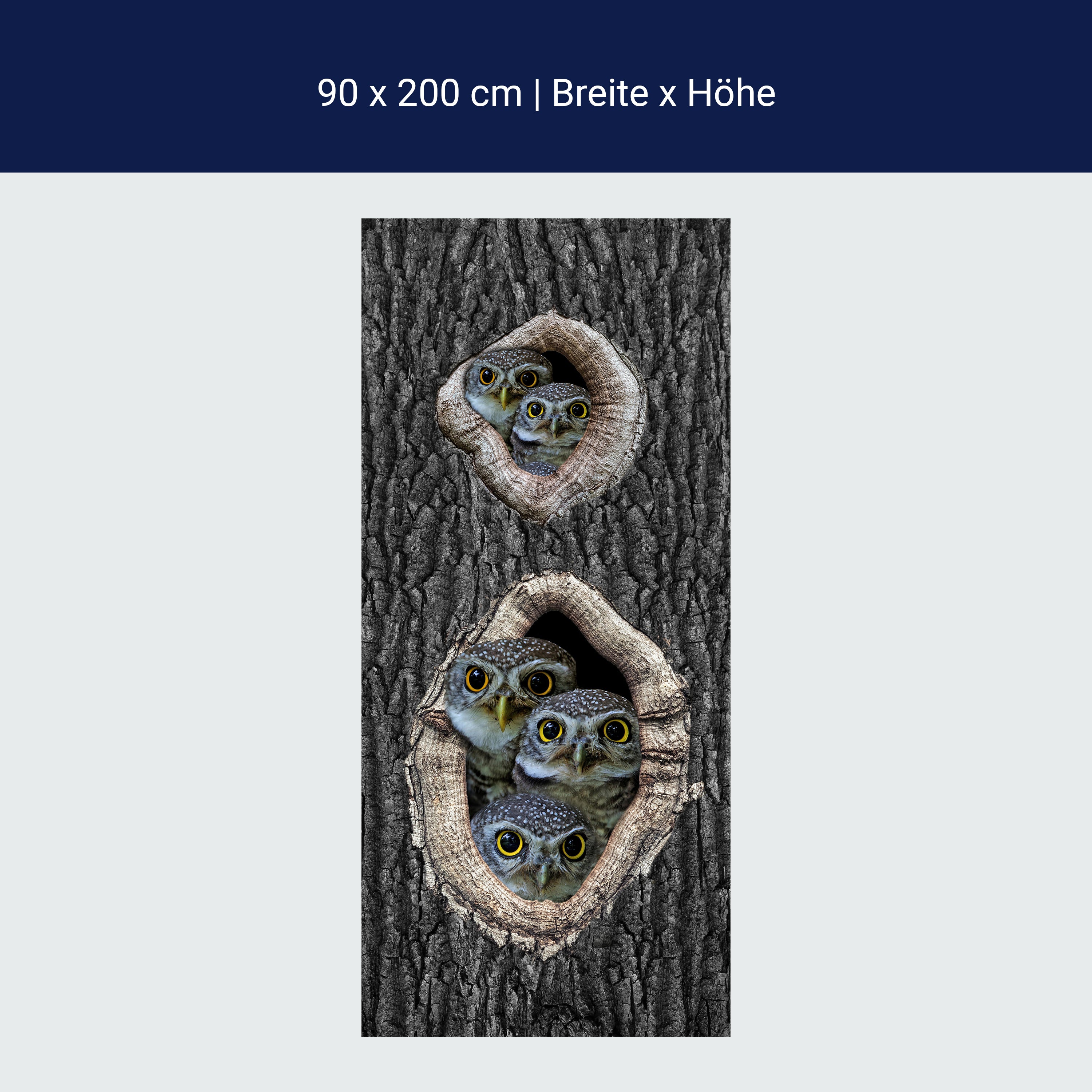 Türtapete Eulen im Baum, Familie, Vögel, Wald M1149 Türtapete Eulen im Baum, Familie, Vögel, Wald M1149