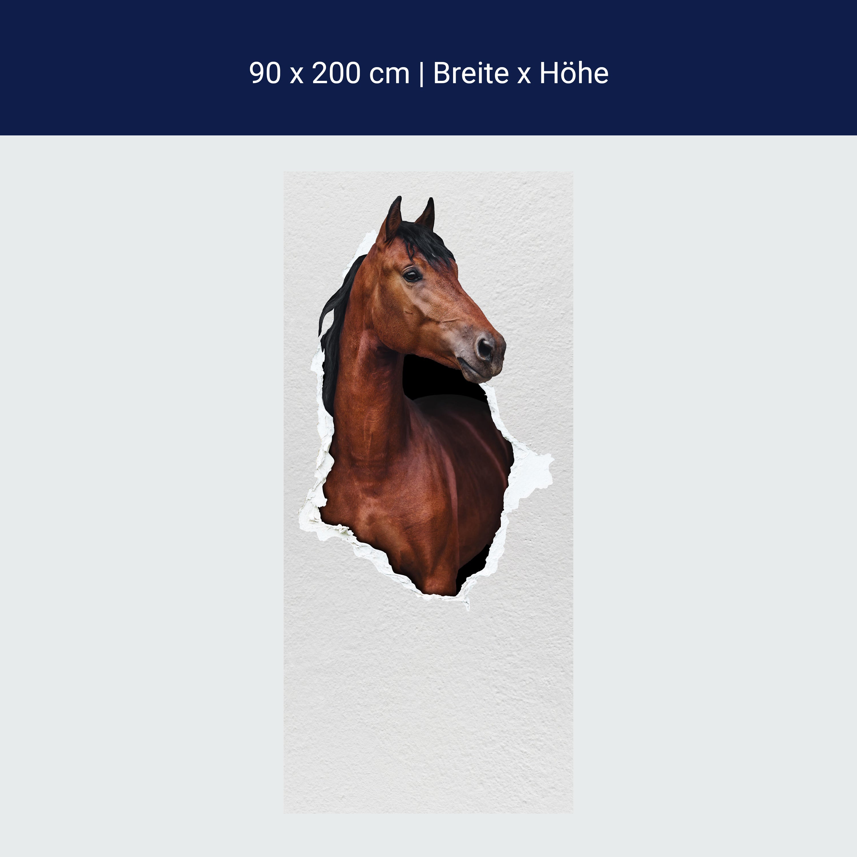 Türtapete braunes Pferd schaut durch Mauer, 3D M1155 Türtapete braunes Pferd schaut durch Mauer, 3D M1155