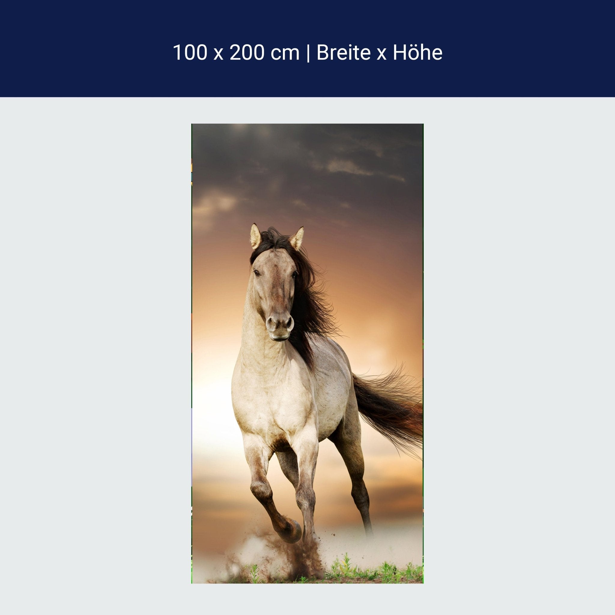 Türtapete Pferd rennt über Wiese, Schimmel, Weiß M1158 Türtapete Pferd rennt über Wiese, Schimmel, Weiß M1158