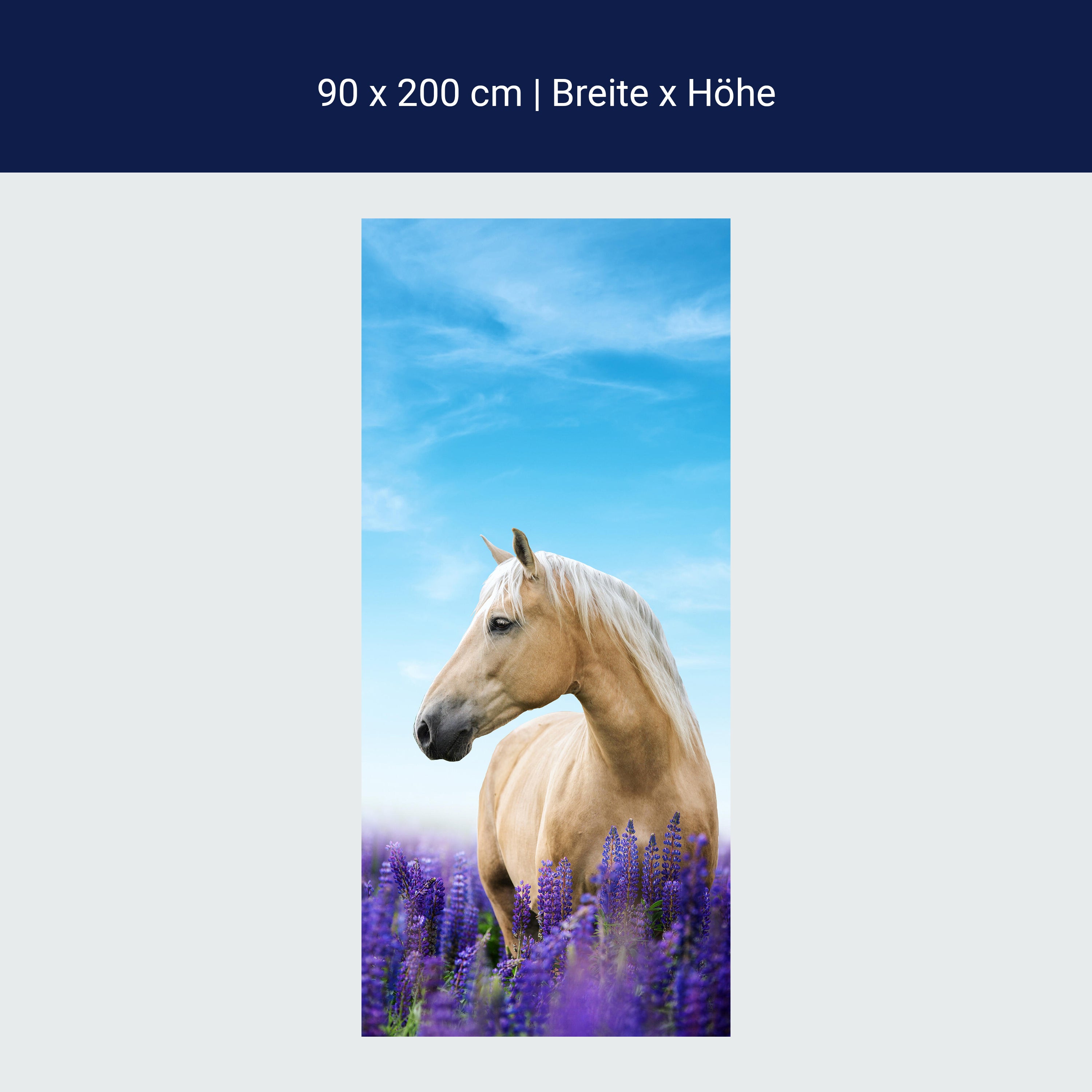 Türtapete Pferd in Lupinen Feld, Himmel, Lila M1170 Türtapete Pferd in Lupinen Feld, Himmel, Lila M1170
