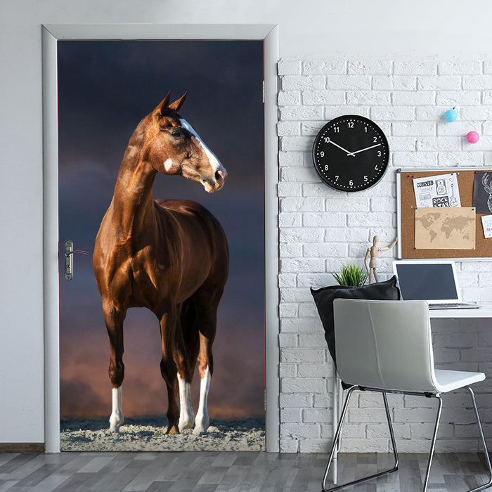 Türtapete Pferd auf Pfad, dunkle Wolken, Tiere M1175 - Bild 1 Türtapete Pferd auf Pfad, dunkle Wolken, Tiere M1175 - Bild 1