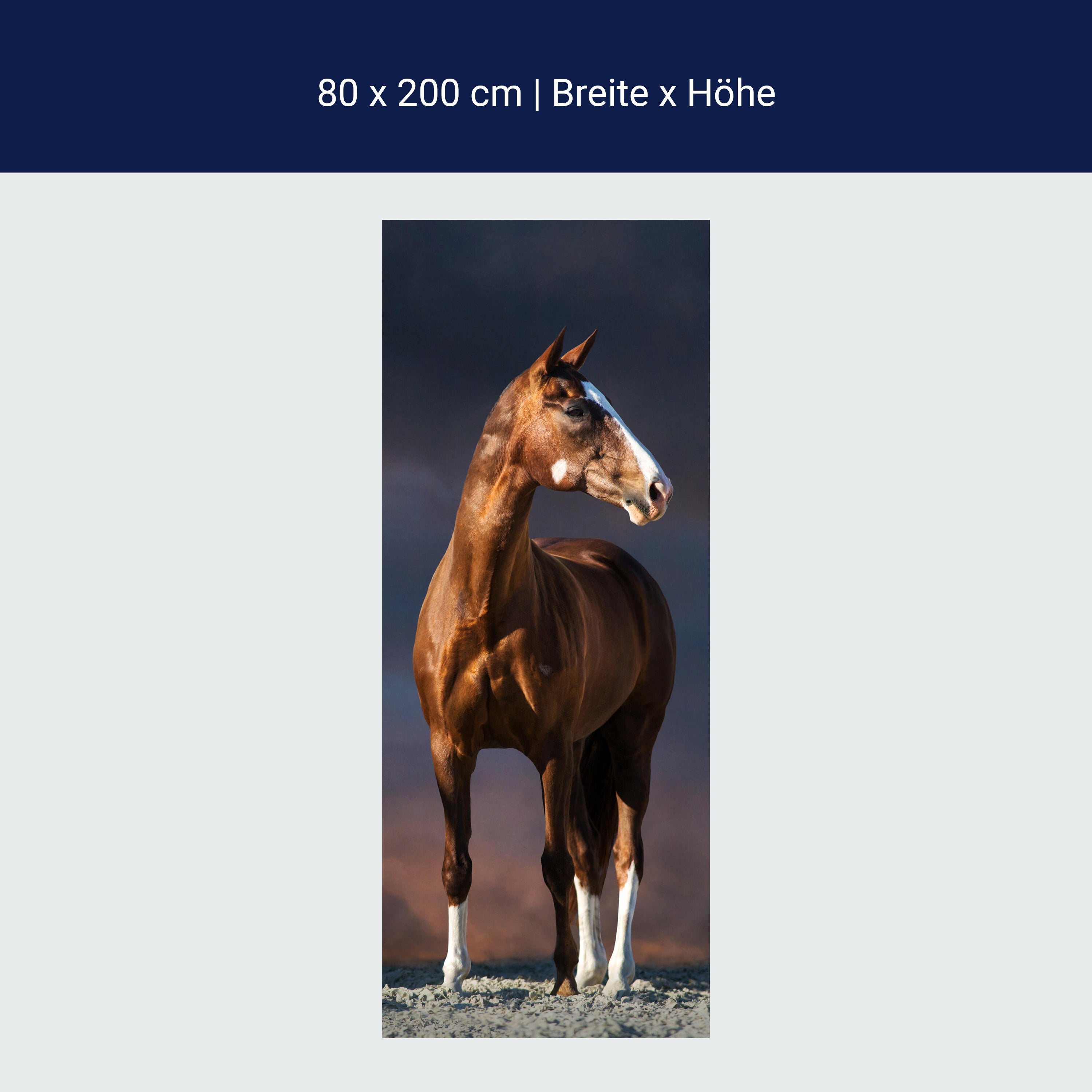 Türtapete Pferd auf Pfad, dunkle Wolken, Tiere M1175 Türtapete Pferd auf Pfad, dunkle Wolken, Tiere M1175