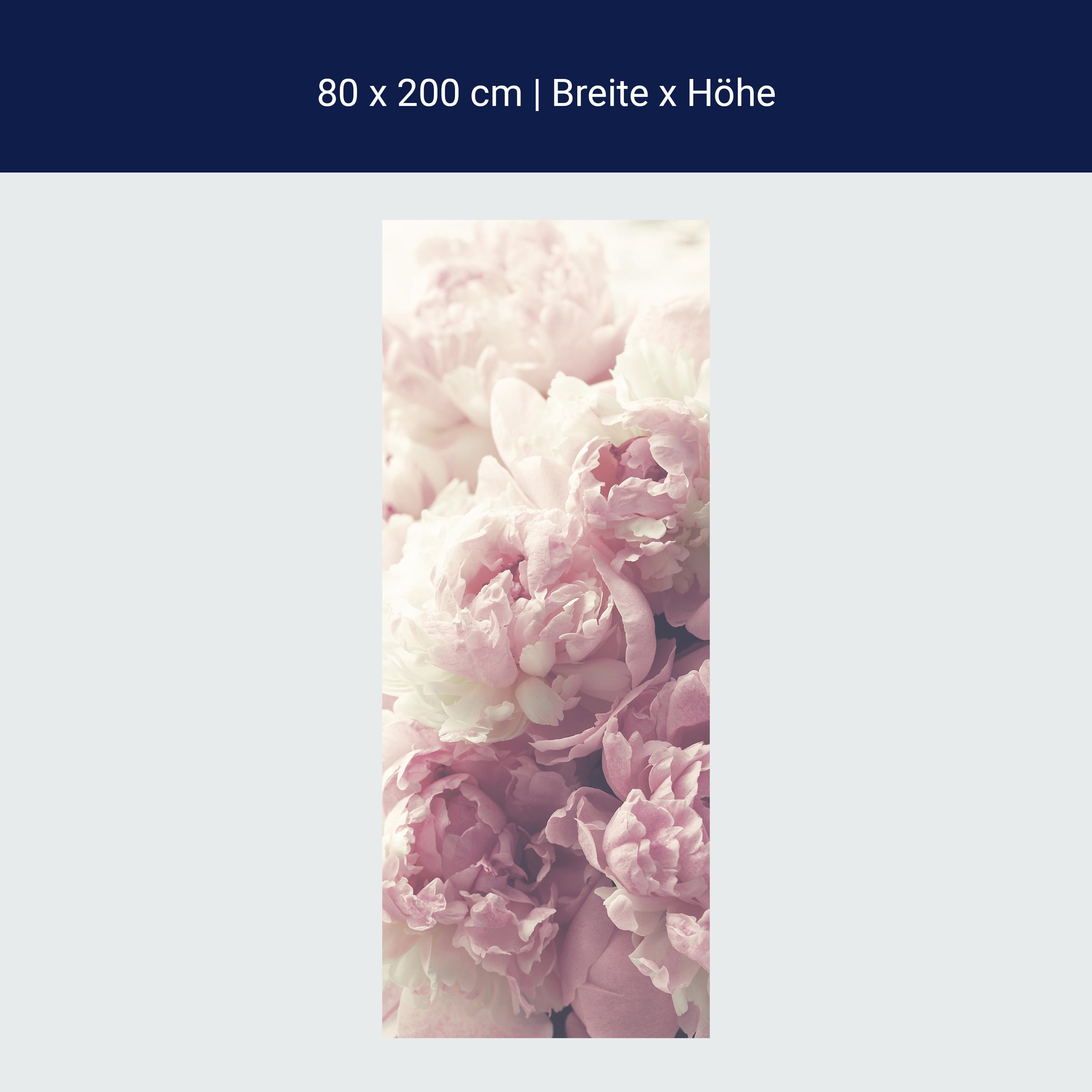 Türtapete Duftrosen Rosa Weiß, Rose, Blumen M1225 Türtapete Duftrosen Rosa Weiß, Rose, Blumen M1225