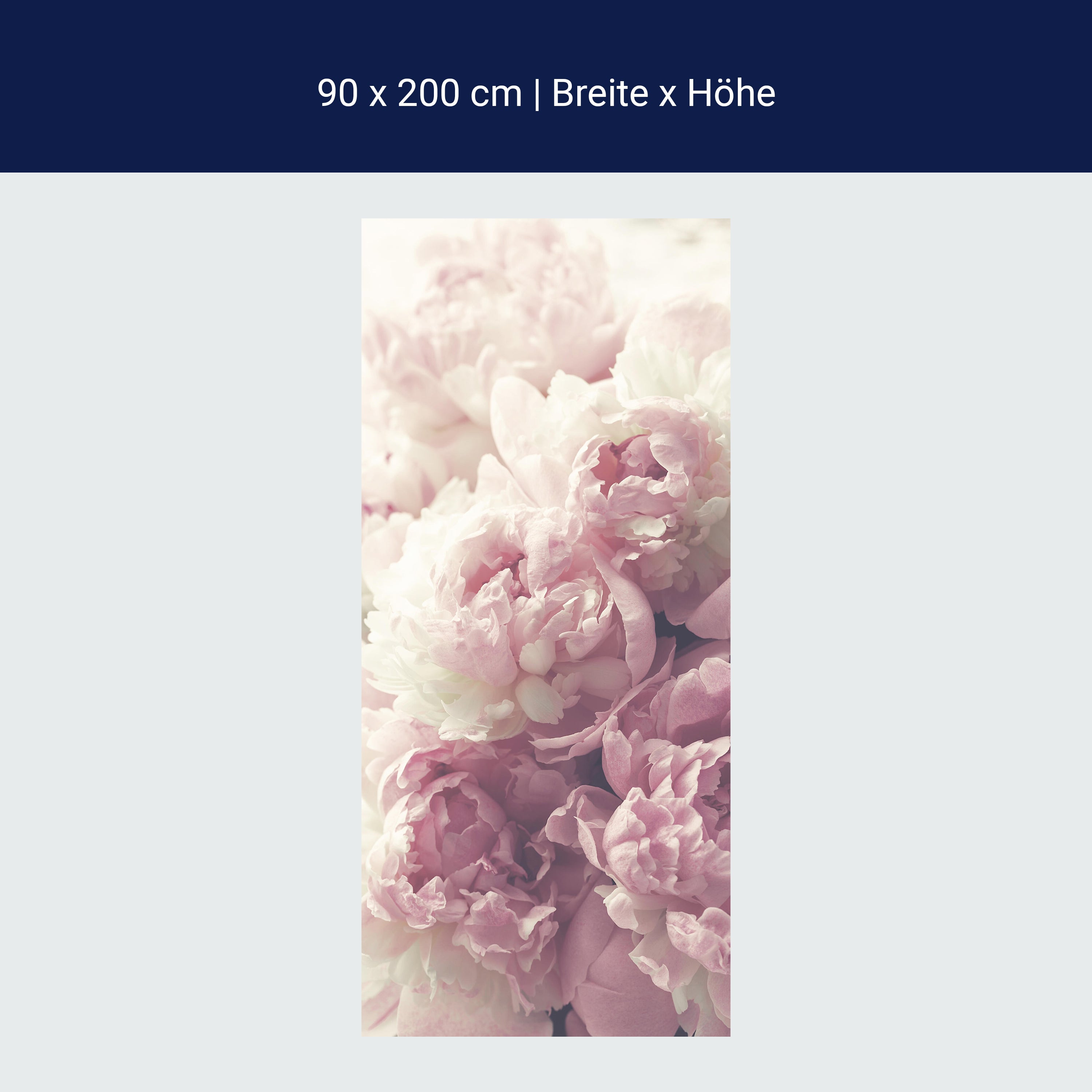 Türtapete Duftrosen Rosa Weiß, Rose, Blumen M1225 Türtapete Duftrosen Rosa Weiß, Rose, Blumen M1225