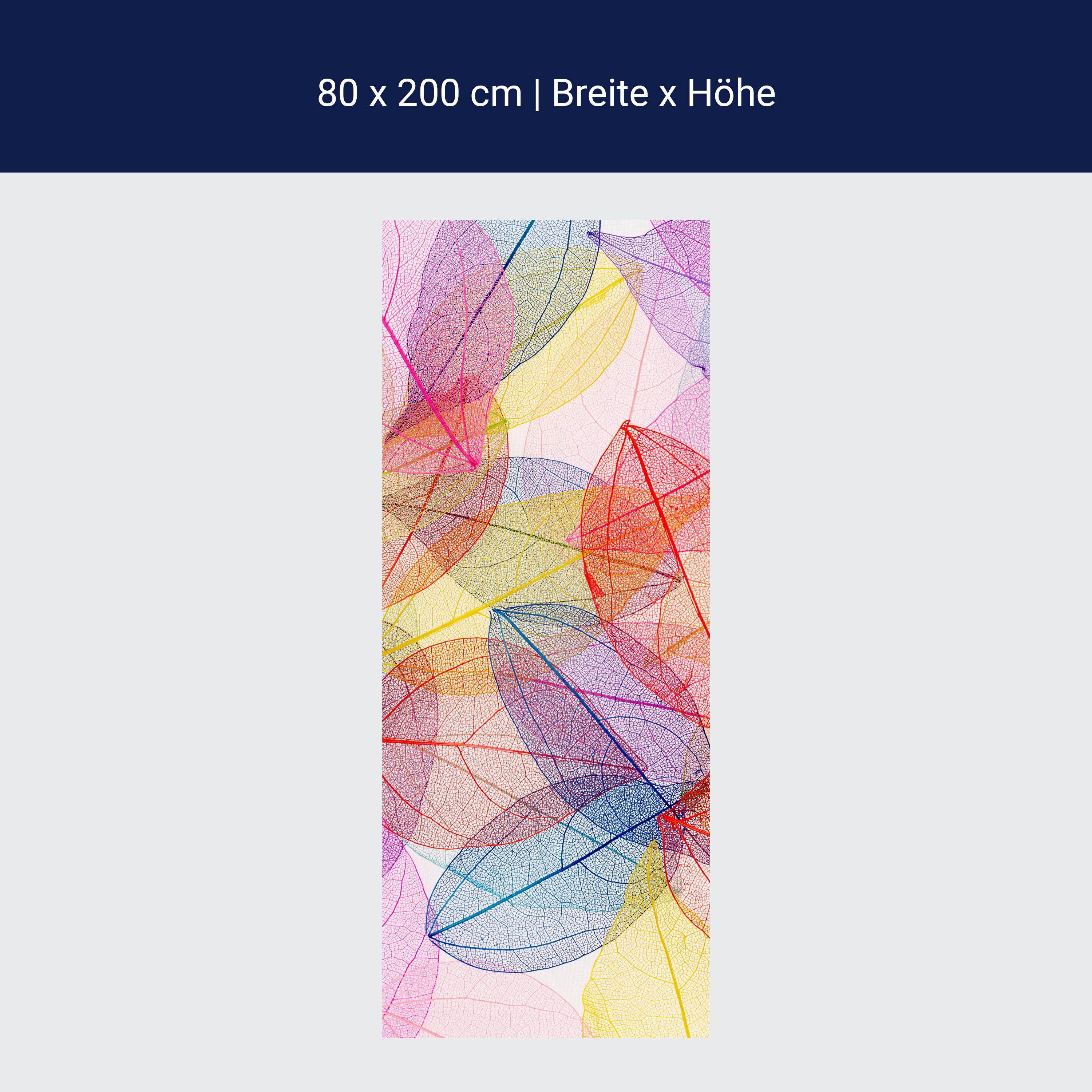 Türtapete bunte Blätter, Blatt Skelett, Pflanzen M1226 Türtapete bunte Blätter, Blatt Skelett, Pflanzen M1226