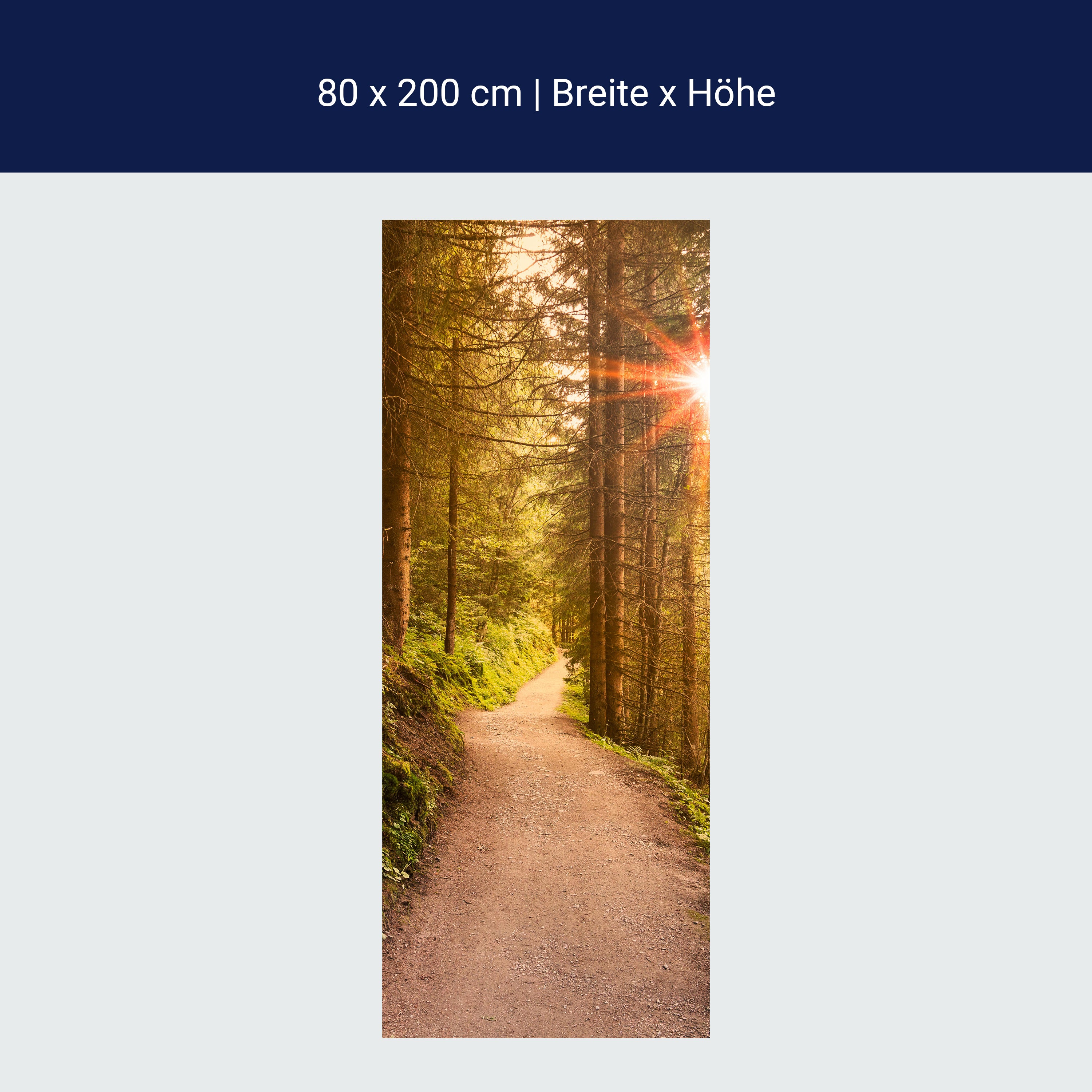 Türtapete Waldweg am Abend, Sonne, Wald M1248 Türtapete Waldweg am Abend, Sonne, Wald M1248