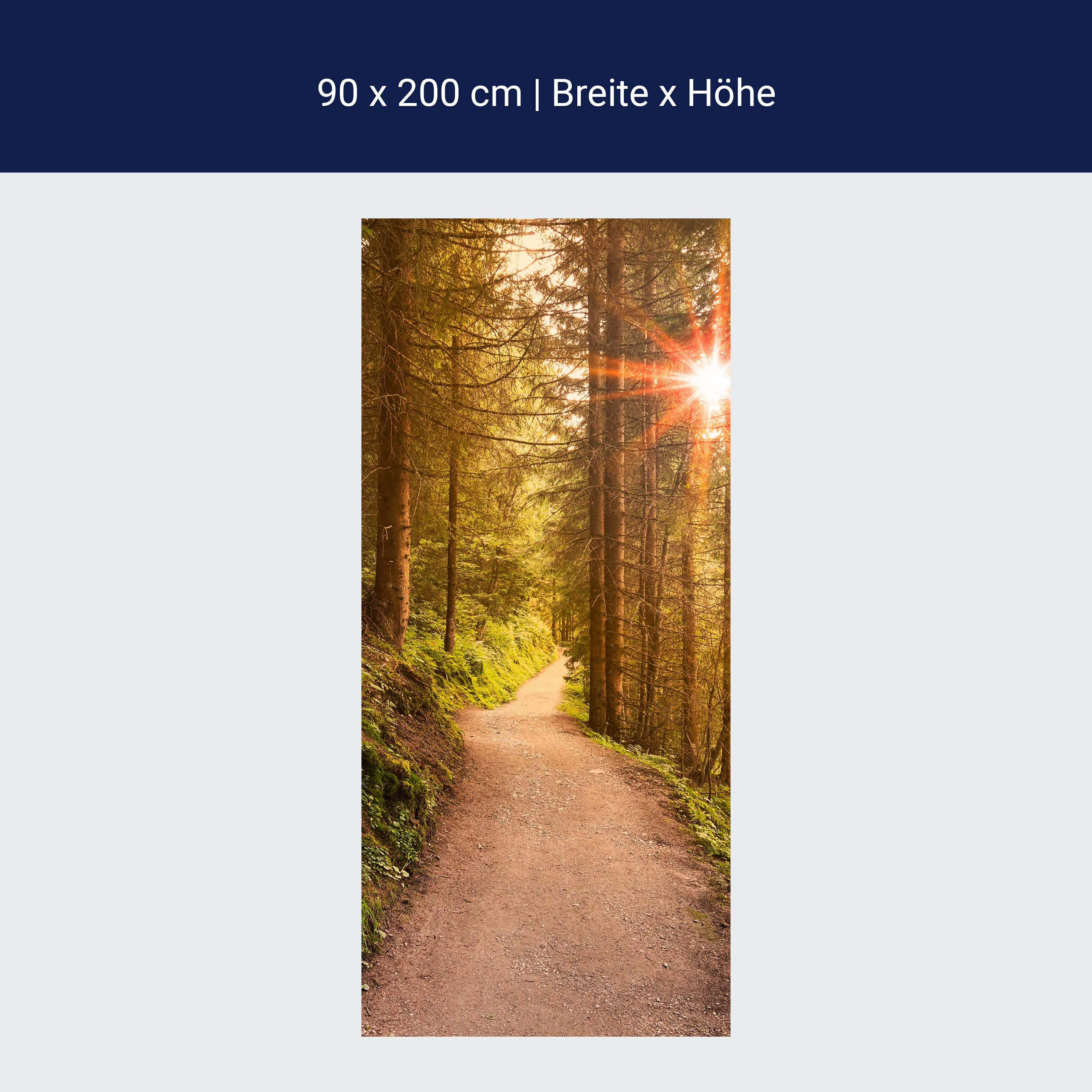 Türtapete Waldweg am Abend, Sonne, Wald M1248 Türtapete Waldweg am Abend, Sonne, Wald M1248