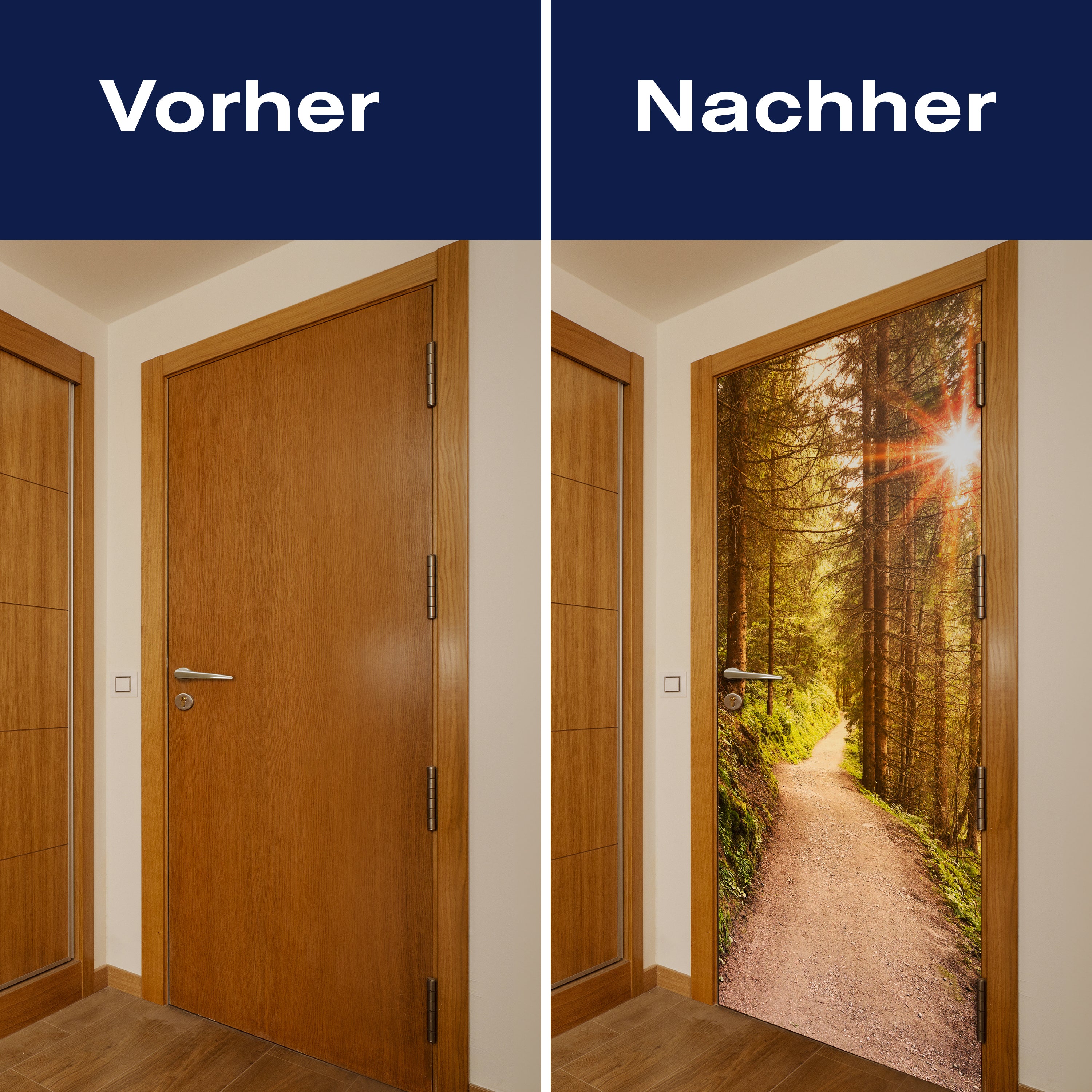 Türtapete Waldweg am Abend, Sonne, Wald M1248 - Bild 10 Türtapete Waldweg am Abend, Sonne, Wald M1248 - Bild 10