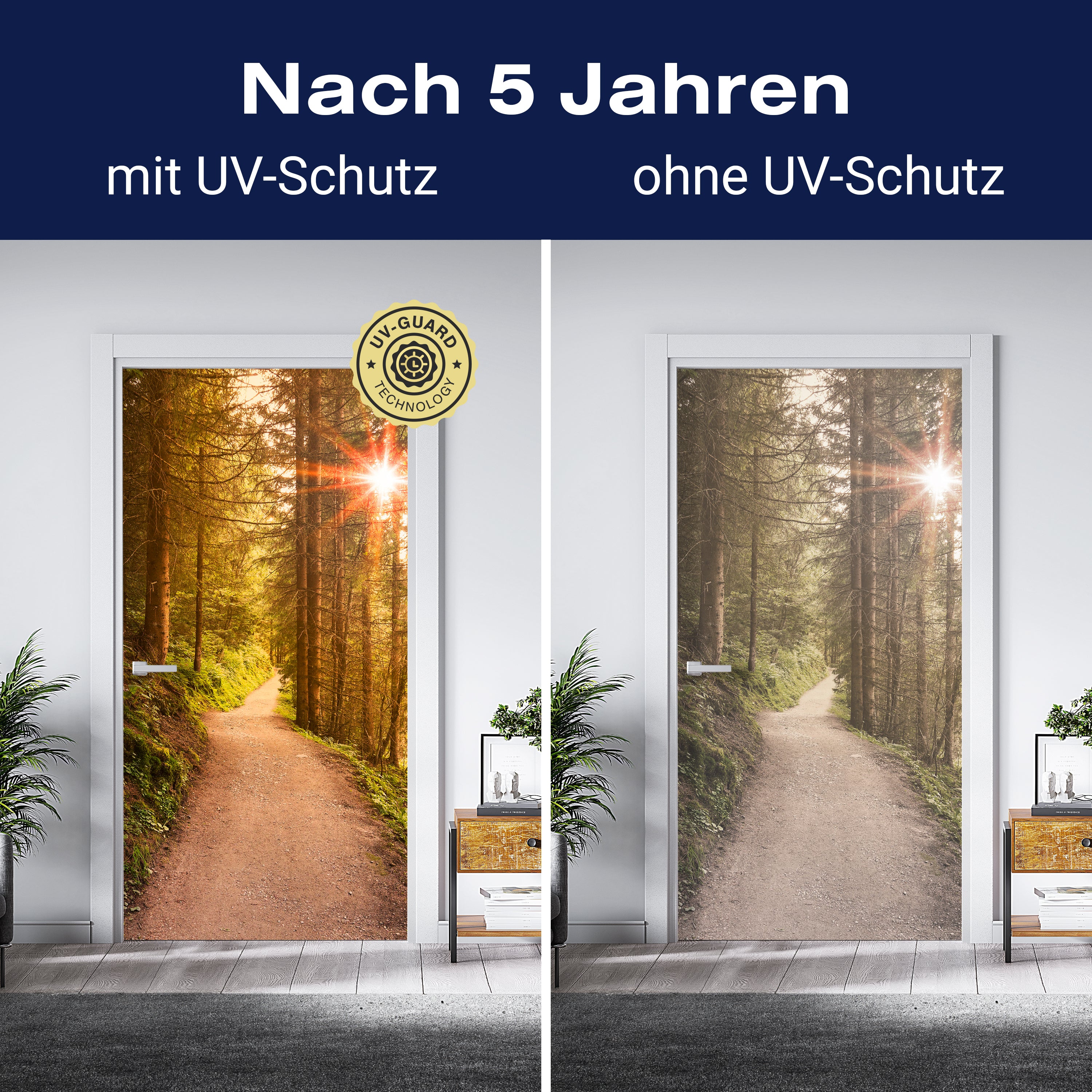 Türtapete Waldweg am Abend, Sonne, Wald M1248 - Bild 4 Türtapete Waldweg am Abend, Sonne, Wald M1248 - Bild 4