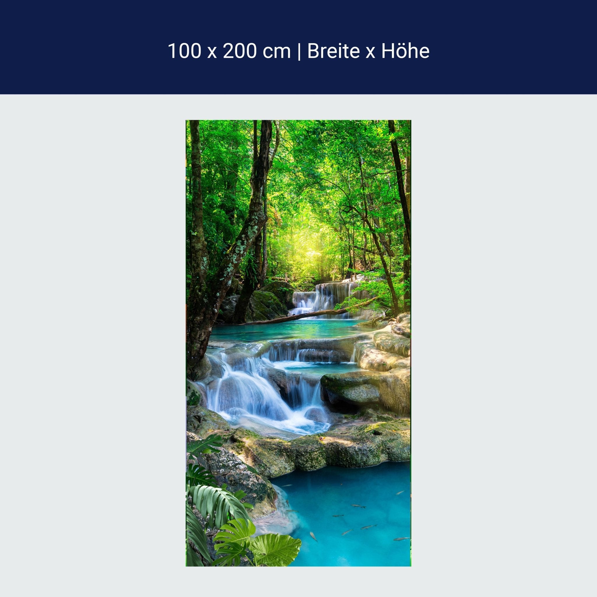 Türtapete Wasser Treppen im Wald, Natur, Bäume M1295 Türtapete Wasser Treppen im Wald, Natur, Bäume M1295