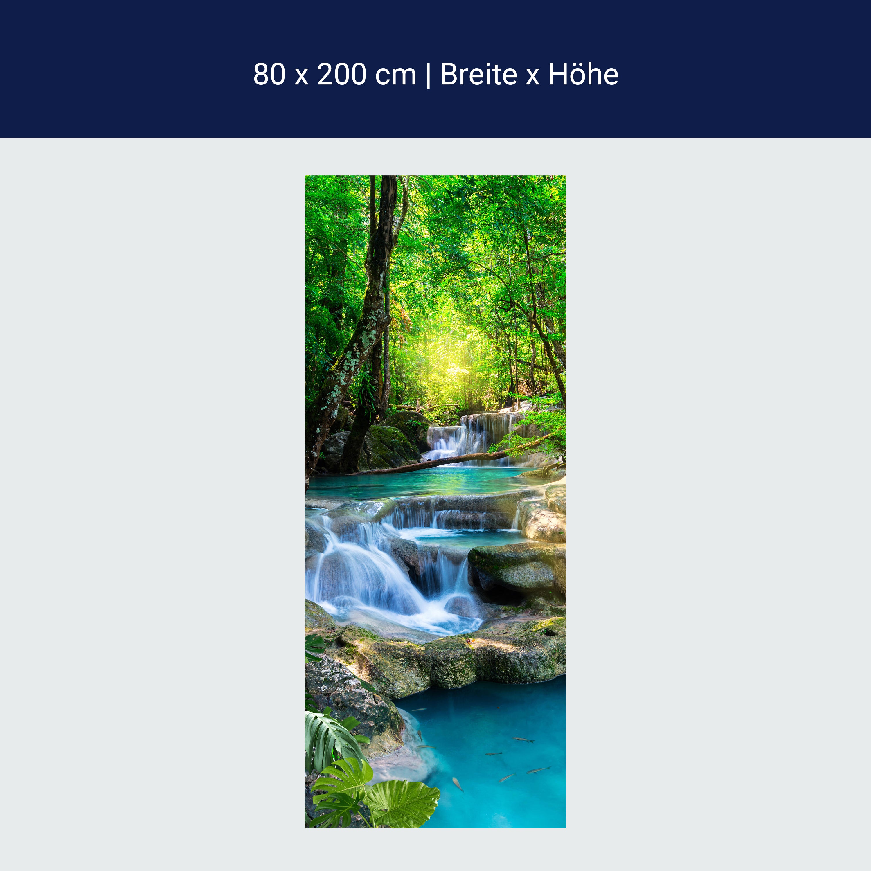 Türtapete Wasser Treppen im Wald, Natur, Bäume M1295 Türtapete Wasser Treppen im Wald, Natur, Bäume M1295