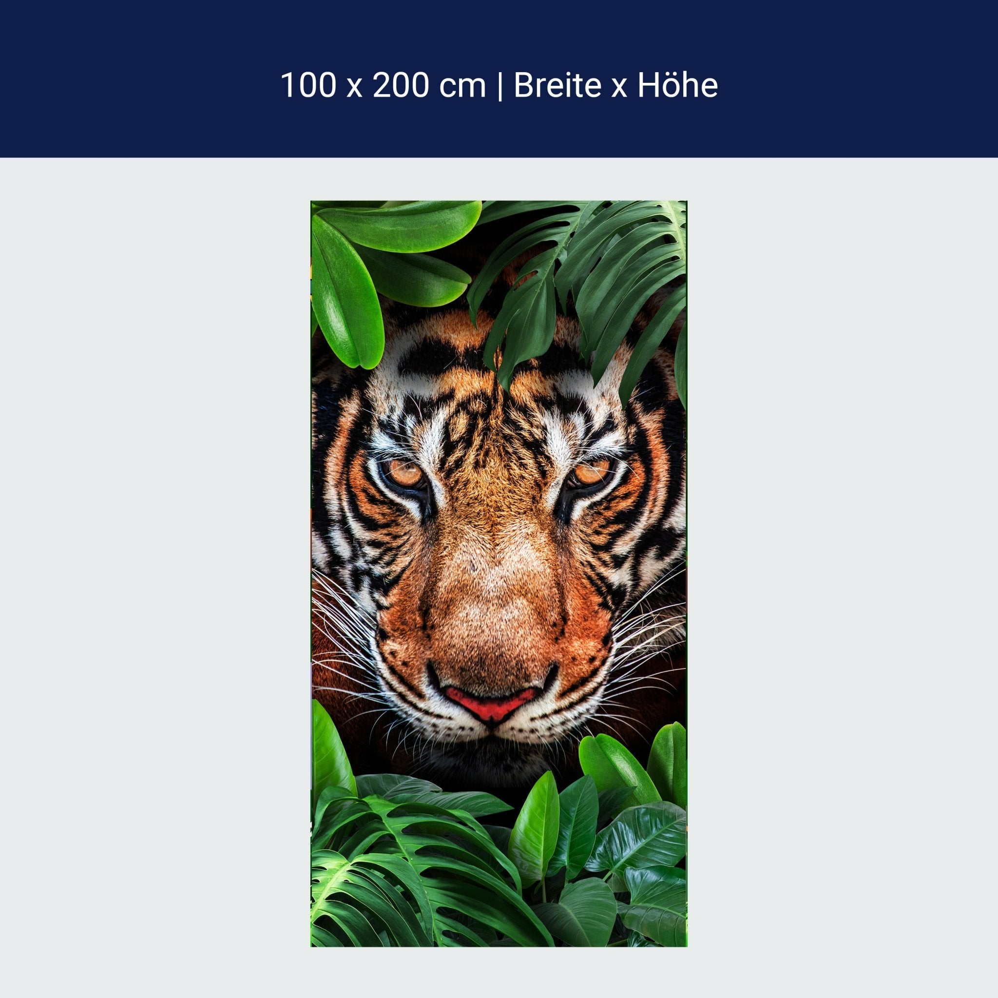 Türtapete Tiger Gesicht, Dschungel, Tier, Katze M1340 Türtapete Tiger Gesicht, Dschungel, Tier, Katze M1340