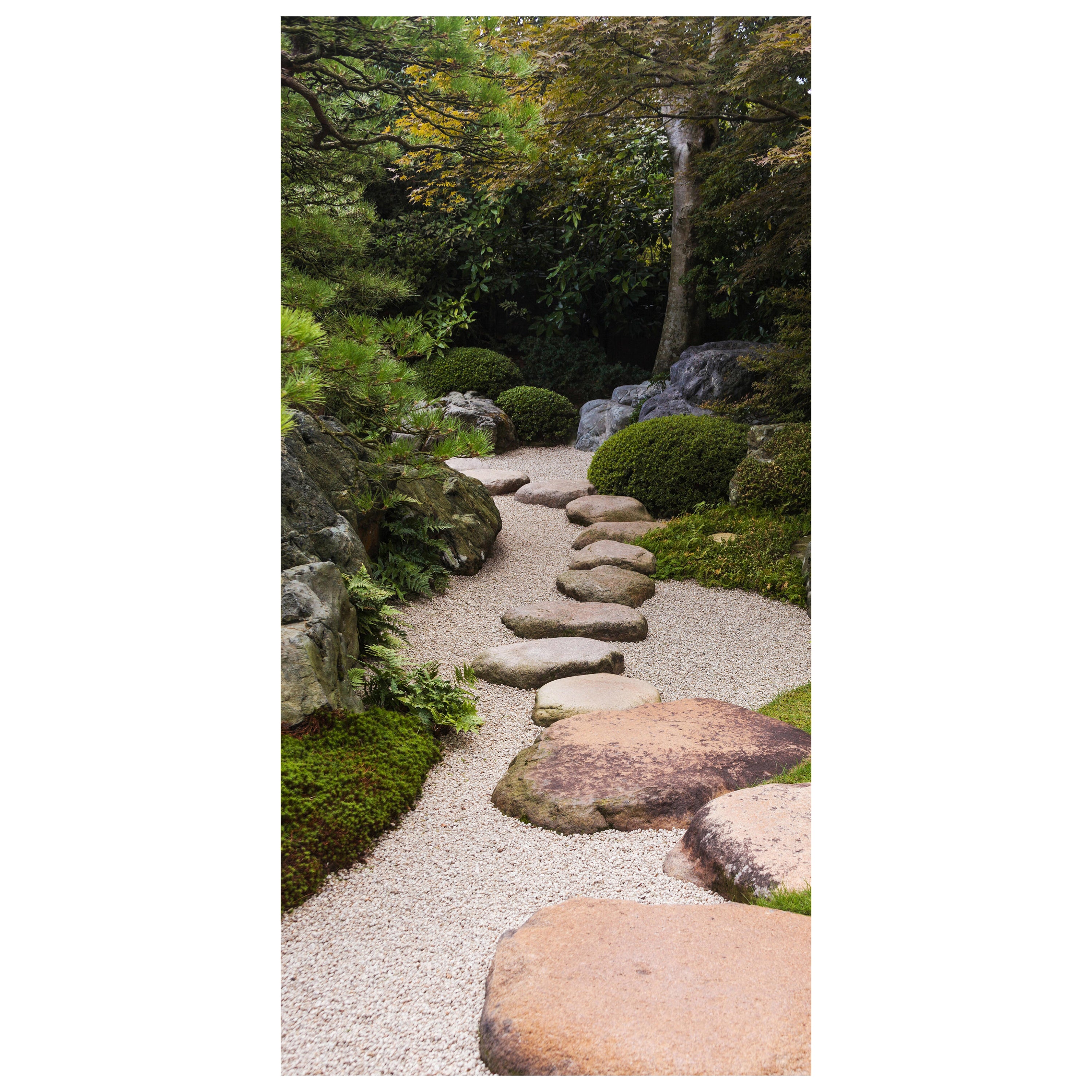Türtapete Japanischer Zen Garten, Steine, Pflanzen M1390 - Bild 2 Türtapete Japanischer Zen Garten, Steine, Pflanzen M1390 - Bild 2
