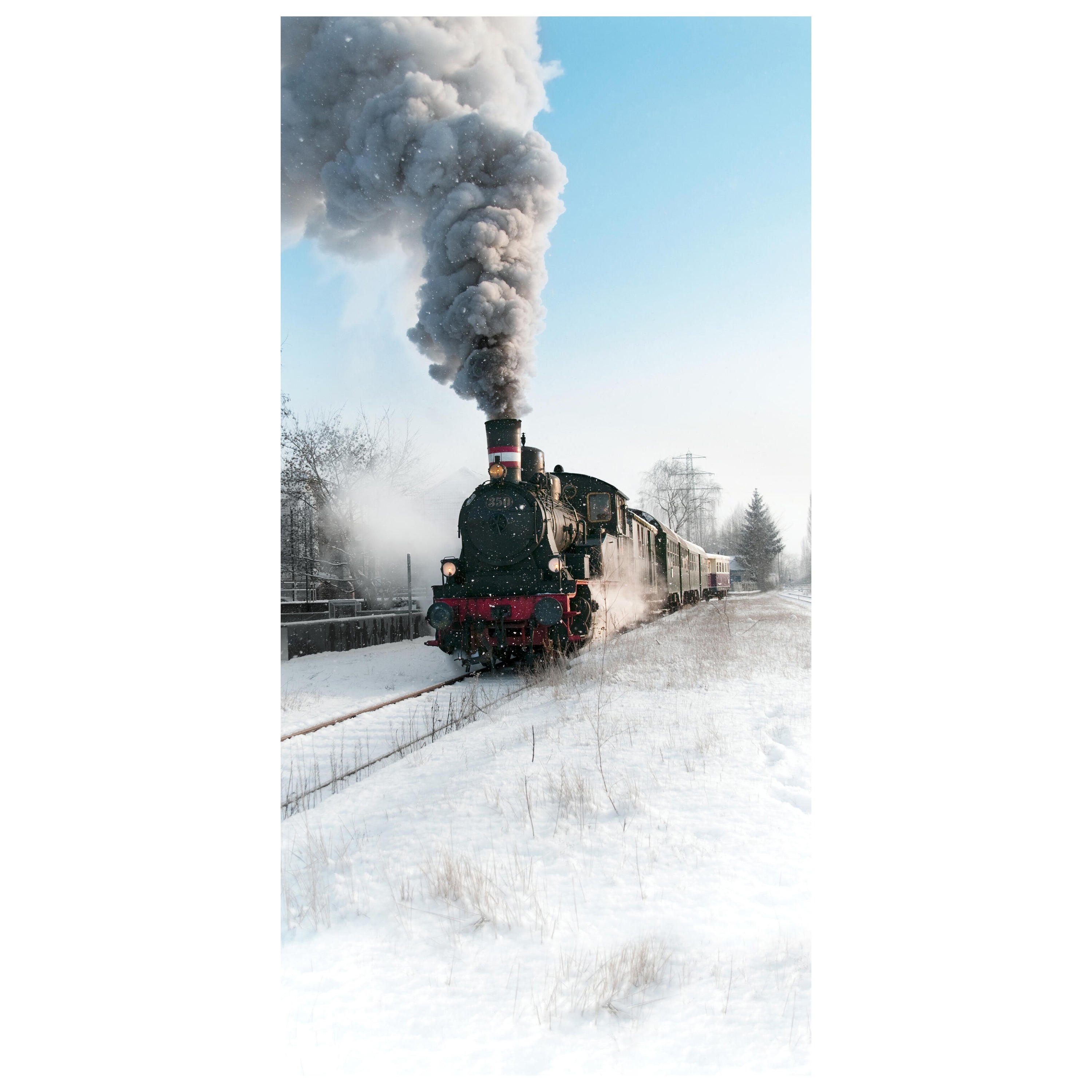 Türtapete Dampflok im Schnee, Eisenbahn, Rauch M1398 - Bild 2 Türtapete Dampflok im Schnee, Eisenbahn, Rauch M1398 - Bild 2