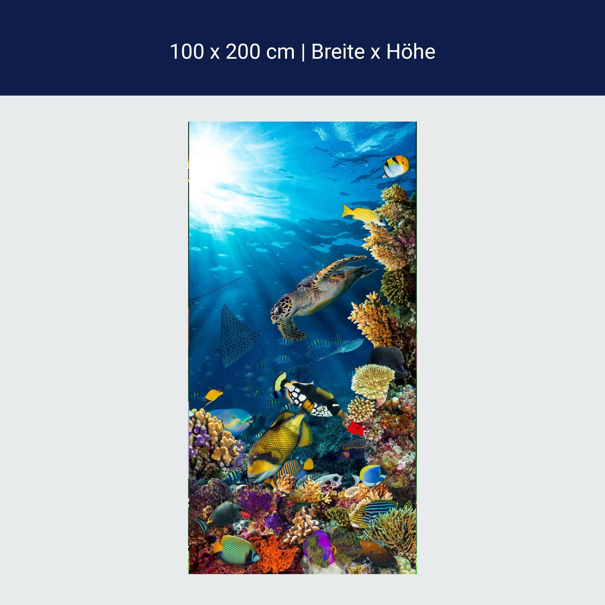 Türtapete Unterwasser Meer Korallen Fische M1406 Türtapete Unterwasser Meer Korallen Fische M1406