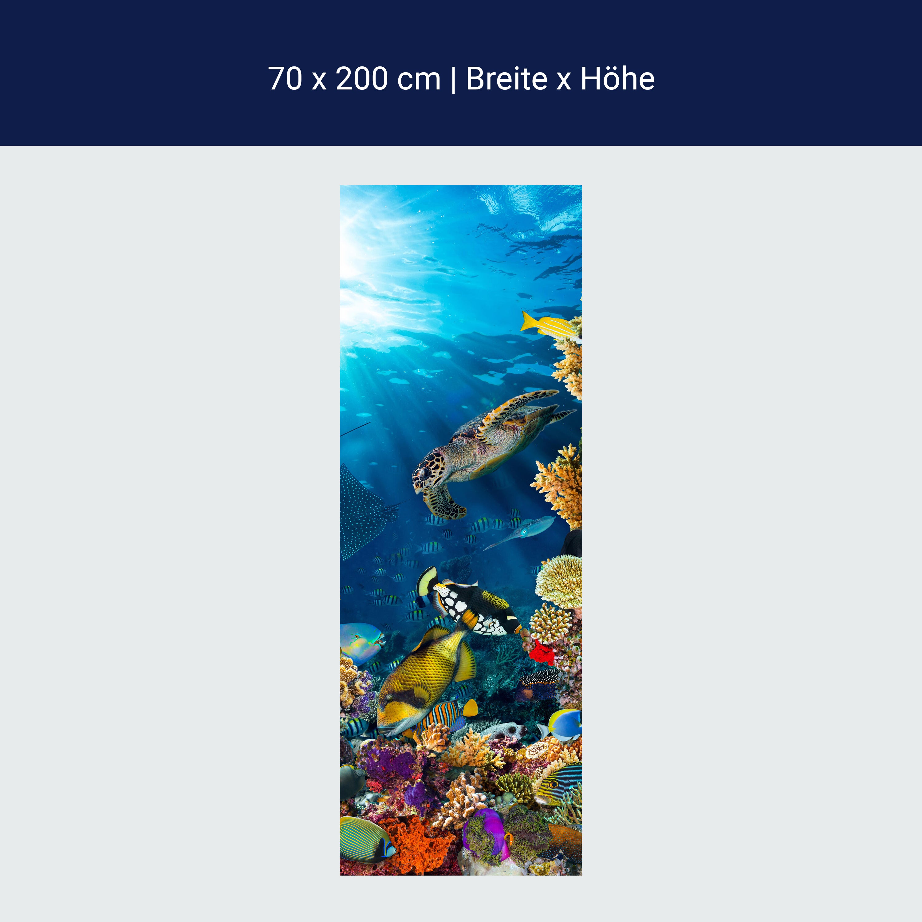 Türtapete Unterwasser Meer Korallen Fische M1406 Türtapete Unterwasser Meer Korallen Fische M1406
