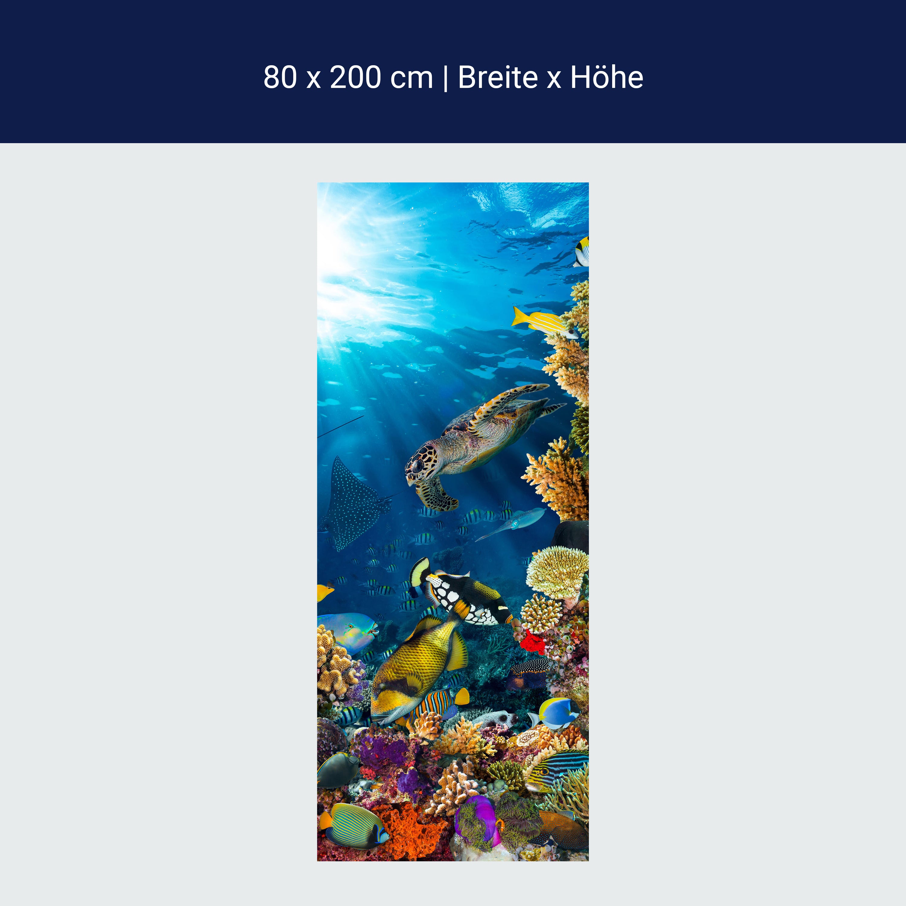 Türtapete Unterwasser Meer Korallen Fische M1406 Türtapete Unterwasser Meer Korallen Fische M1406