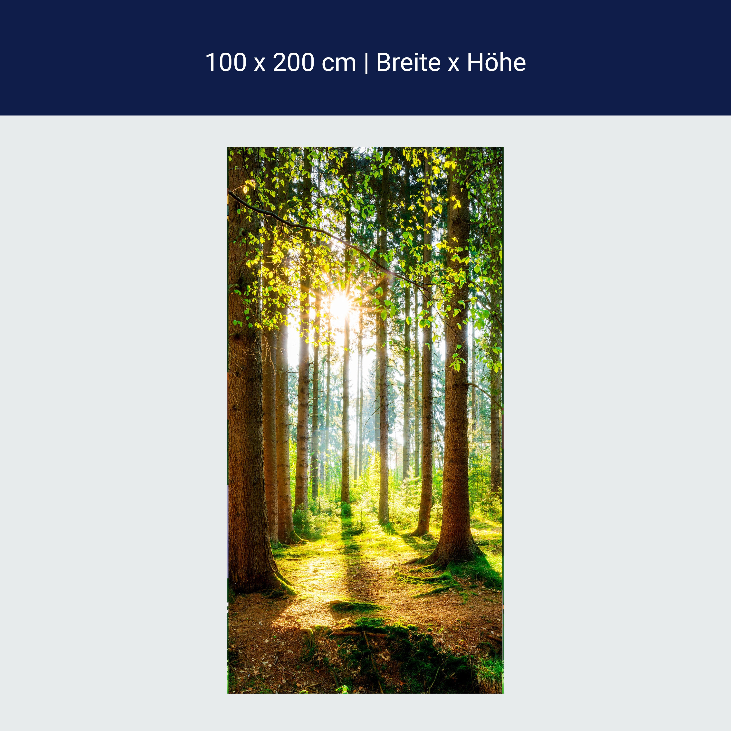 Türtapete Wald, Bäume, Lichtung M1422 Türtapete Wald, Bäume, Lichtung M1422