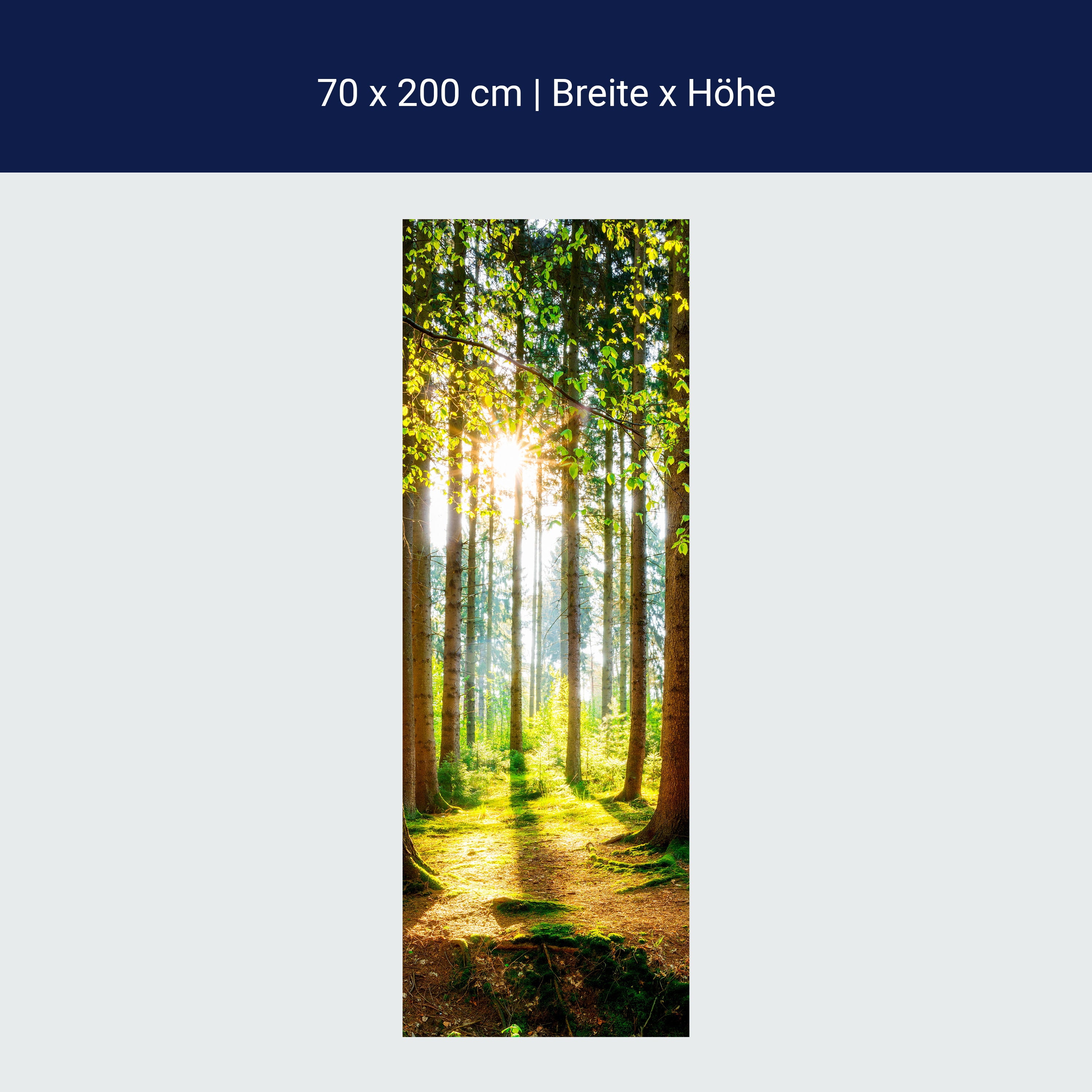 Türtapete Wald, Bäume, Lichtung M1422 Türtapete Wald, Bäume, Lichtung M1422