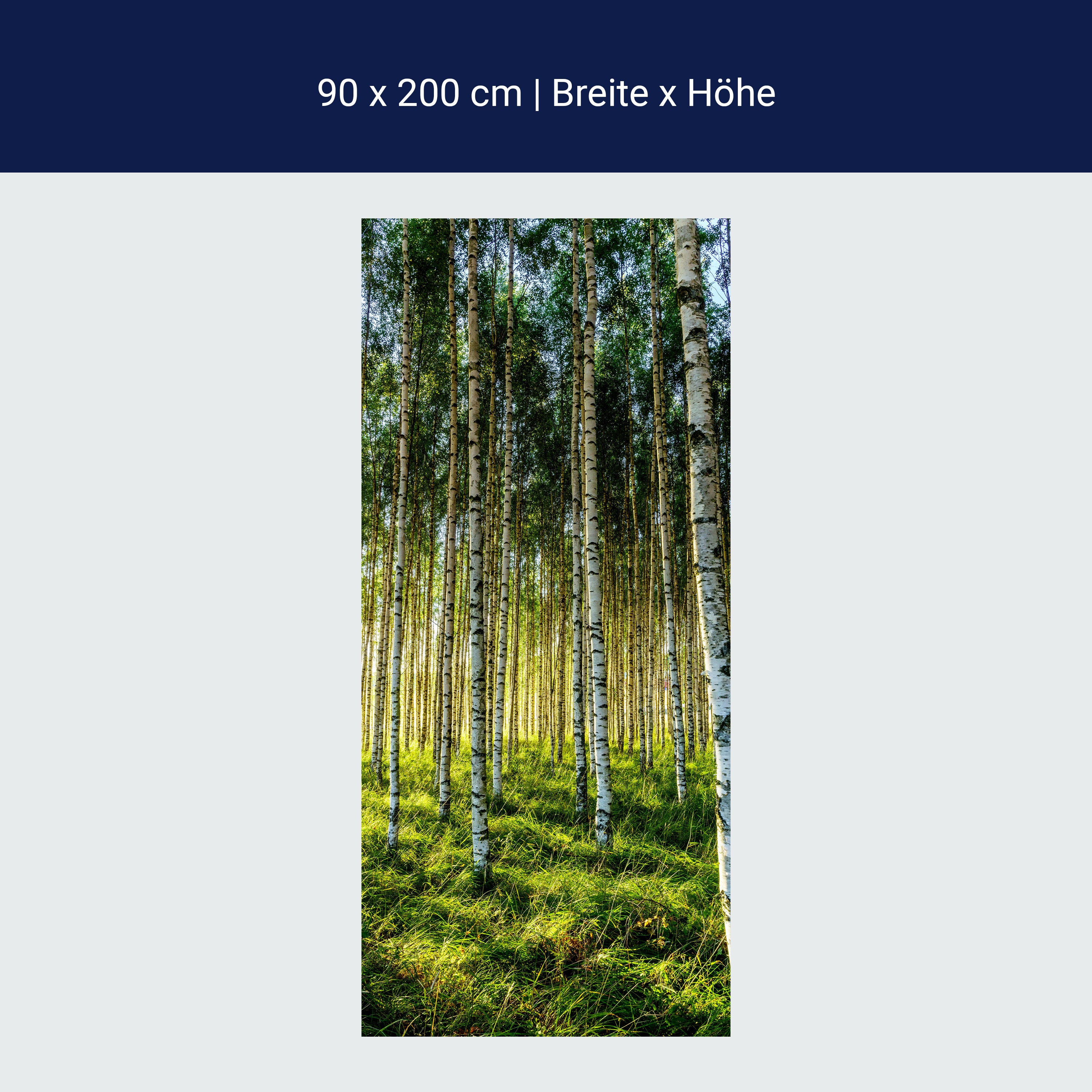 Türtapete Wald, Birken, Wiese, Bäume M1424 Türtapete Wald, Birken, Wiese, Bäume M1424