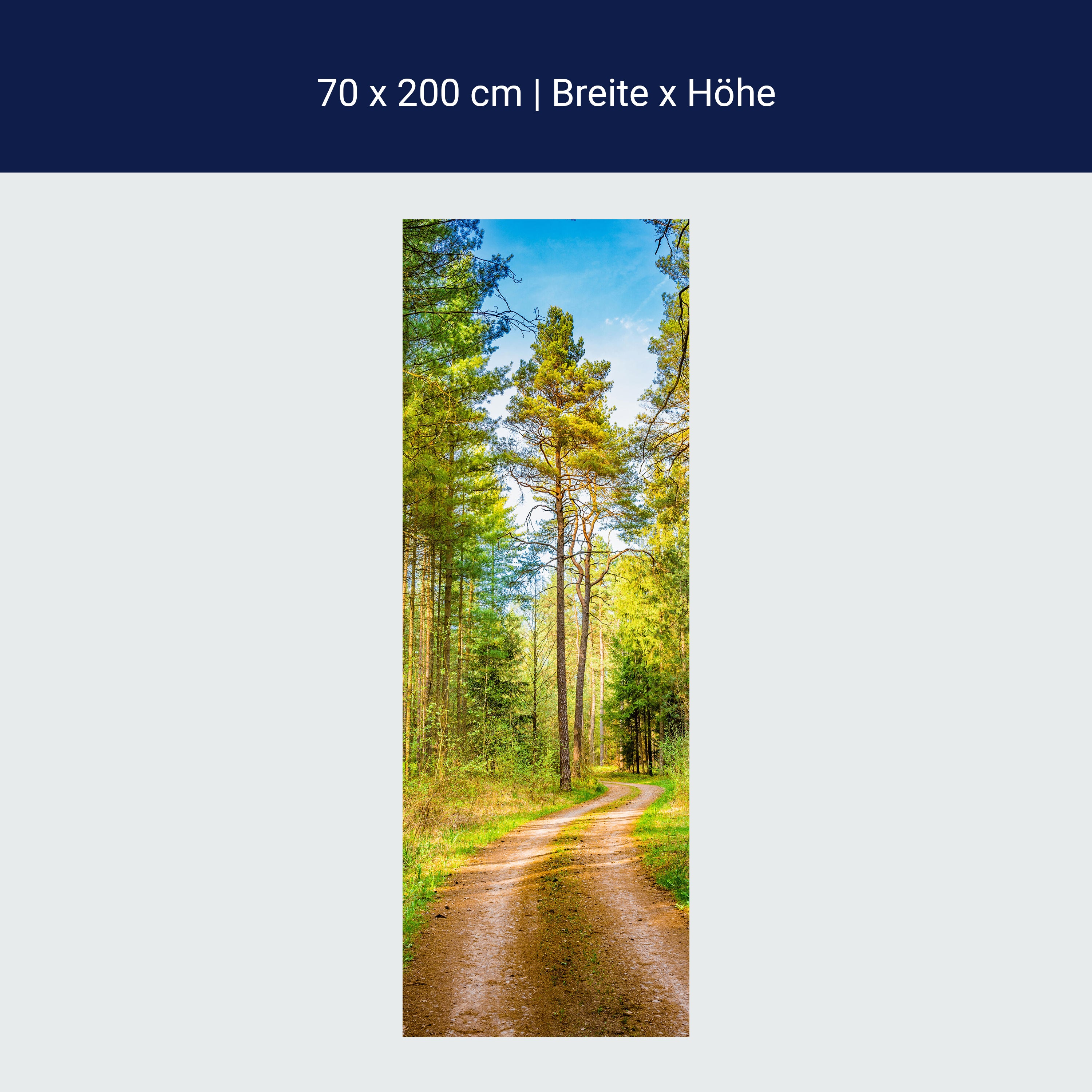 Türtapete Wald, Weg, Bäume M1426 Türtapete Wald, Weg, Bäume M1426