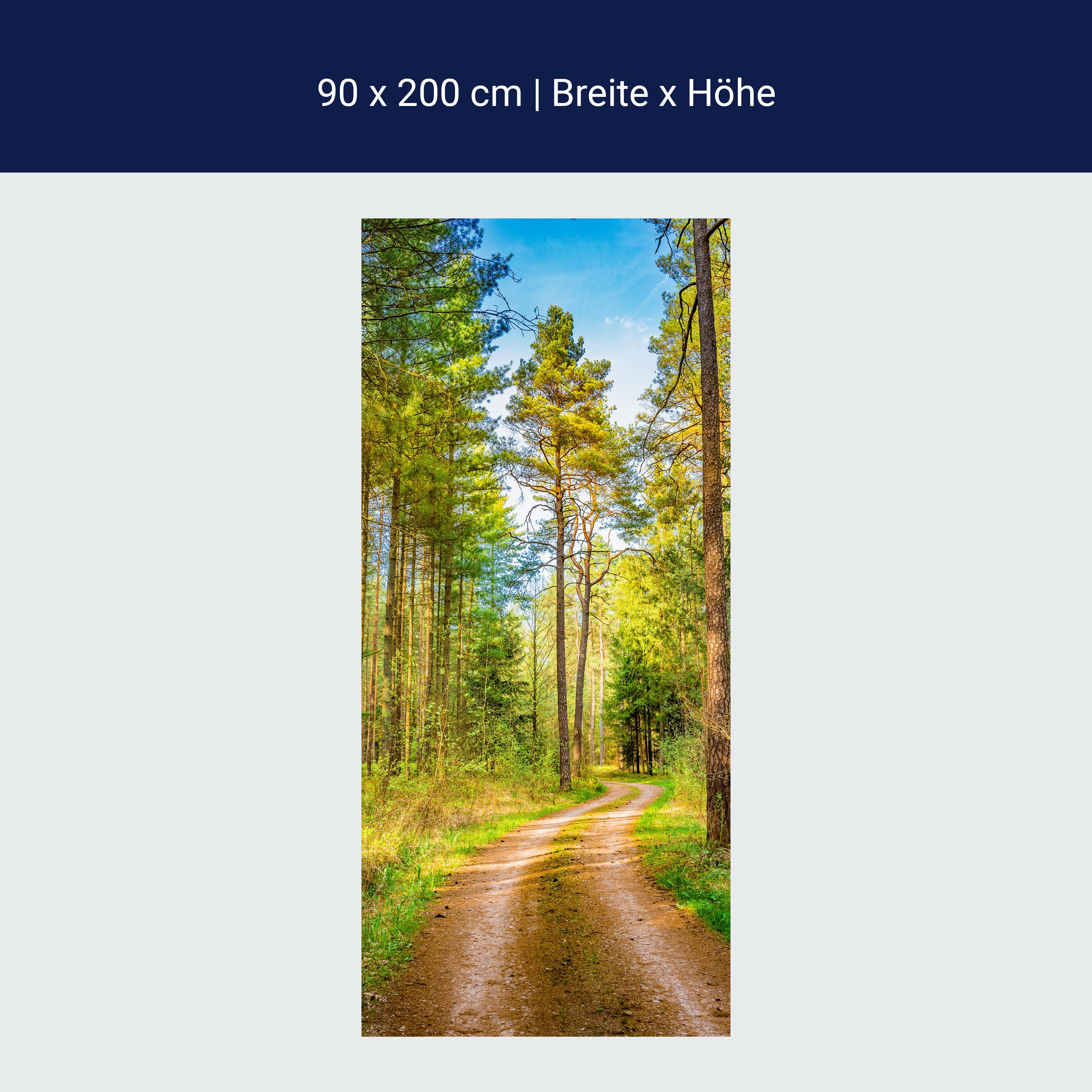 Türtapete Wald, Weg, Bäume M1426 Türtapete Wald, Weg, Bäume M1426