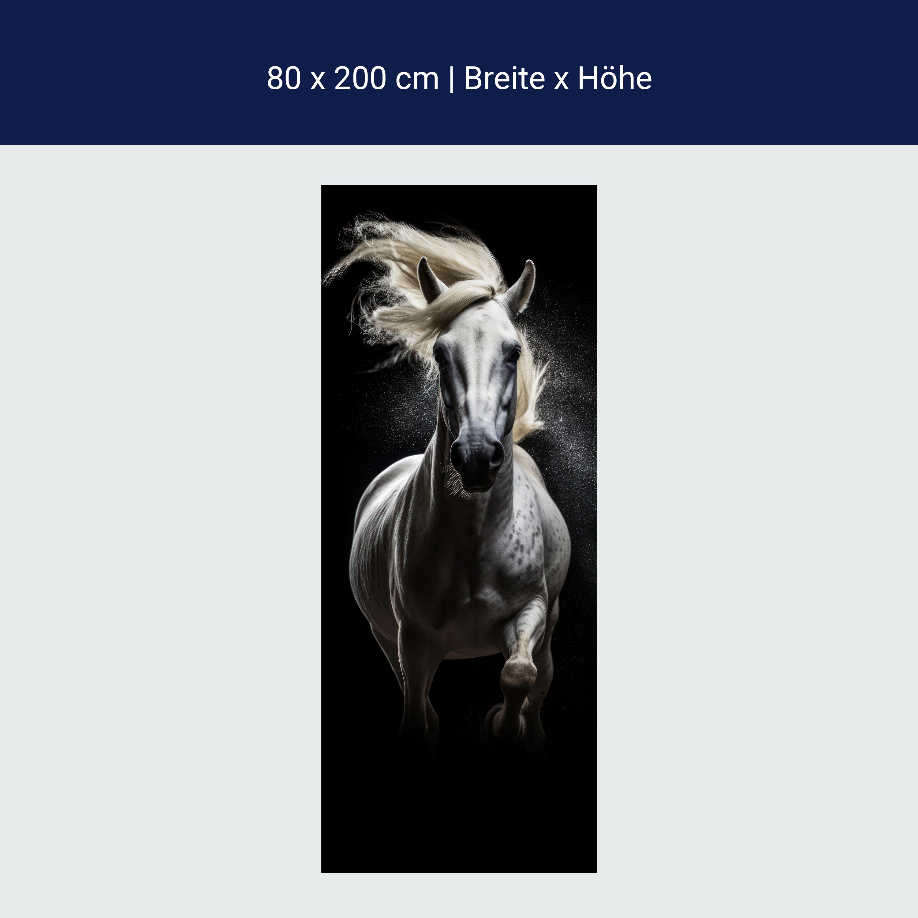 Türtapete weißes Pferd, Schimmel M1458 Türtapete weißes Pferd, Schimmel M1458