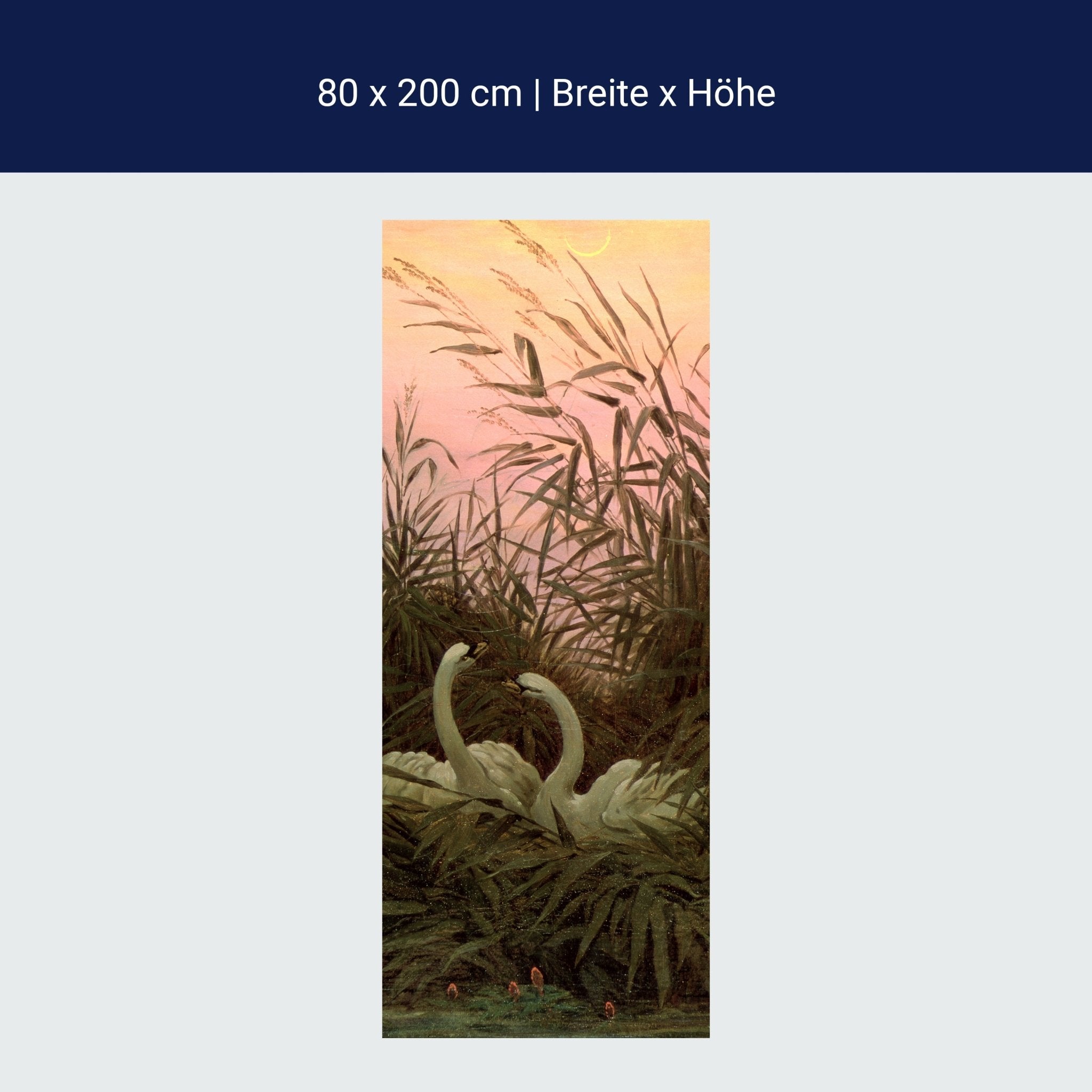 Türtapete Schwäne im Schilf Caspar David Friedrich M1546 Türtapete Schwäne im Schilf Caspar David Friedrich M1546