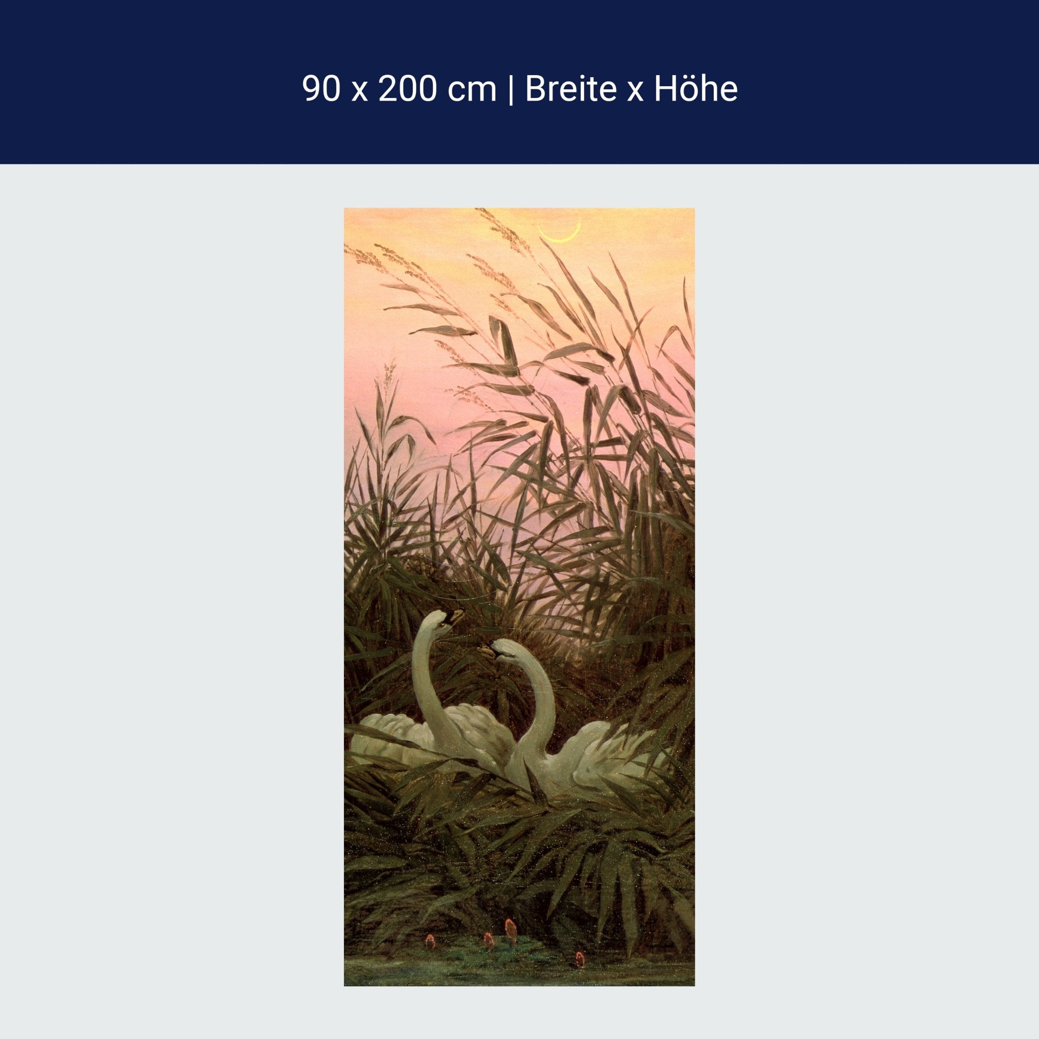 Türtapete Schwäne im Schilf Caspar David Friedrich M1546 Türtapete Schwäne im Schilf Caspar David Friedrich M1546