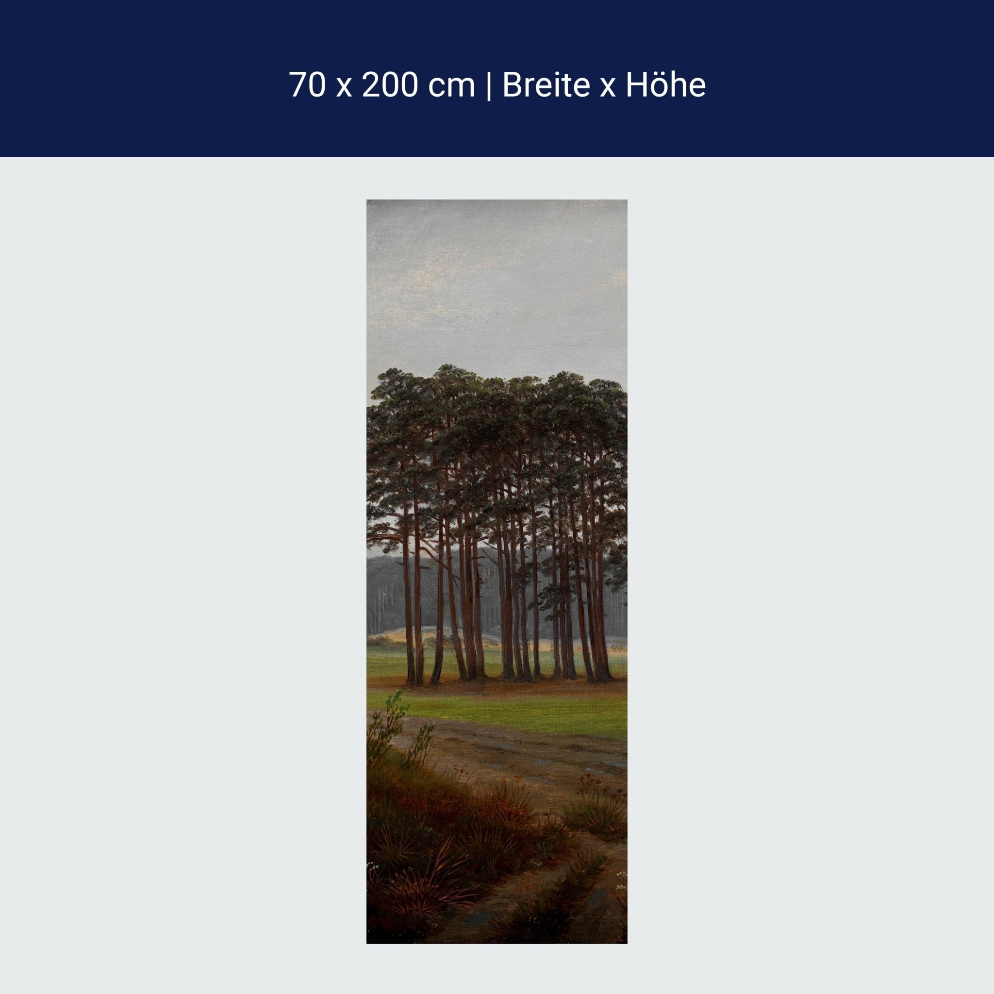 Türtapete Morgen Waldwiese Caspar David Friedrich M1547 Türtapete Morgen Waldwiese Caspar David Friedrich M1547