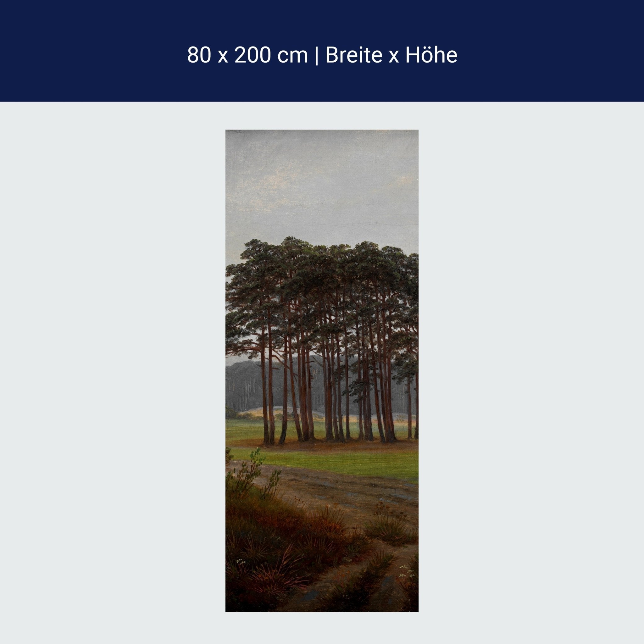 Türtapete Morgen Waldwiese Caspar David Friedrich M1547 Türtapete Morgen Waldwiese Caspar David Friedrich M1547