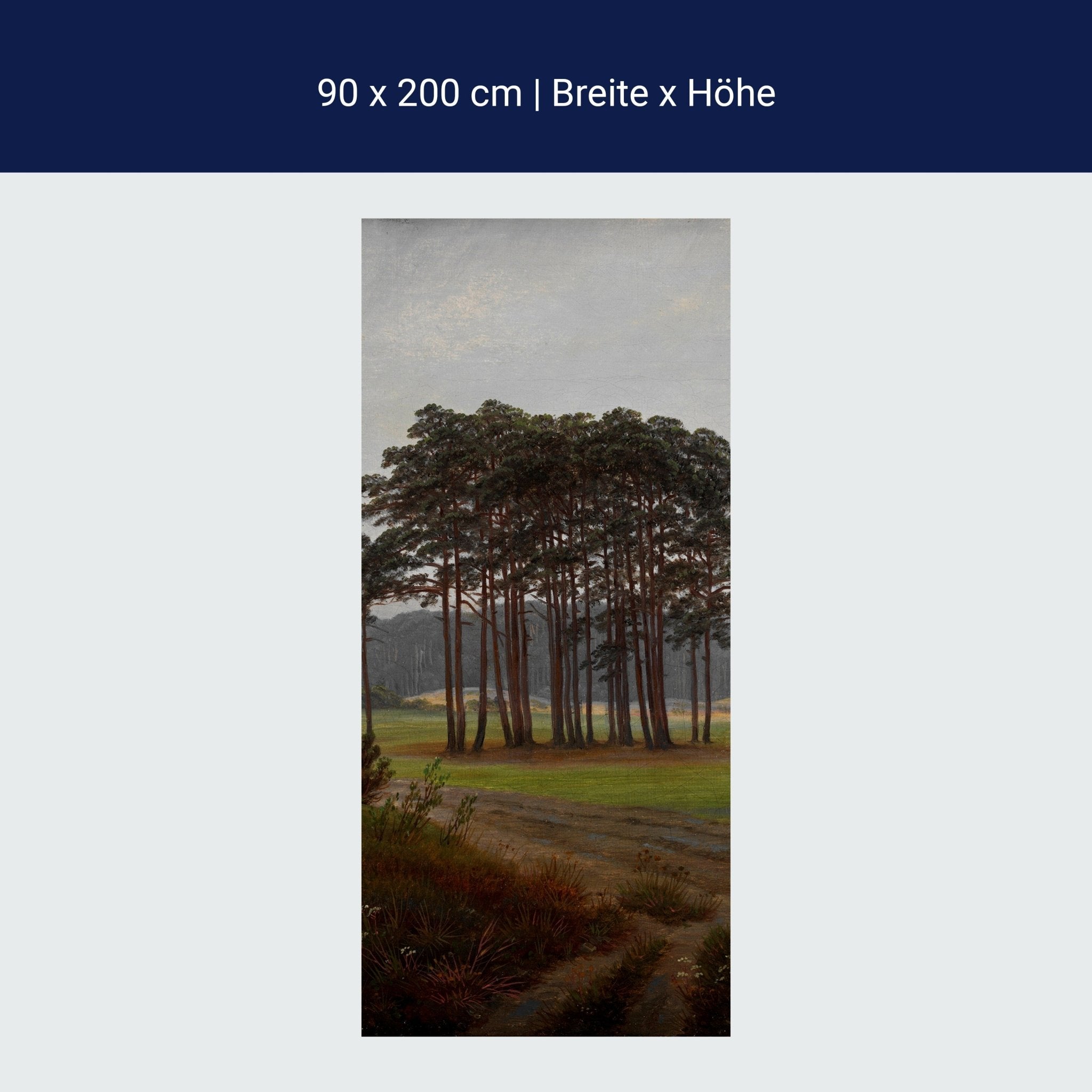 Türtapete Morgen Waldwiese Caspar David Friedrich M1547 Türtapete Morgen Waldwiese Caspar David Friedrich M1547