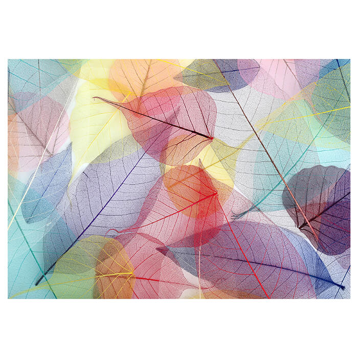 Fototapete bunte Blätter M1835 - Bild 2 Fototapete bunte Blätter M1835 - Bild 2